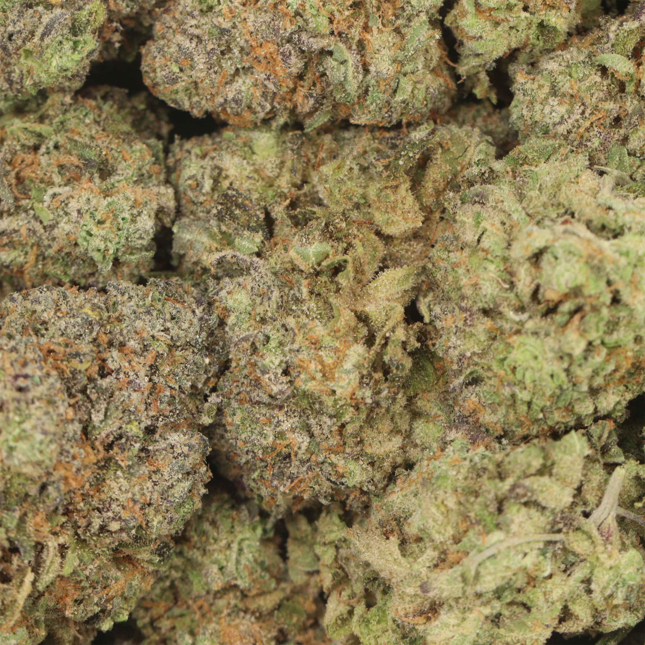Guava Kush - Image 3