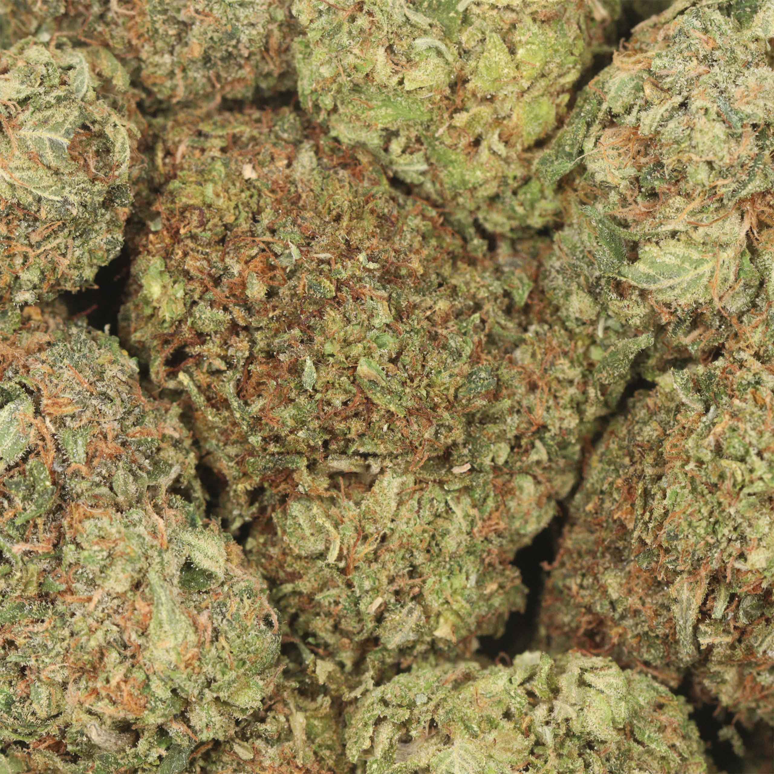 High Octane OG - Image 3