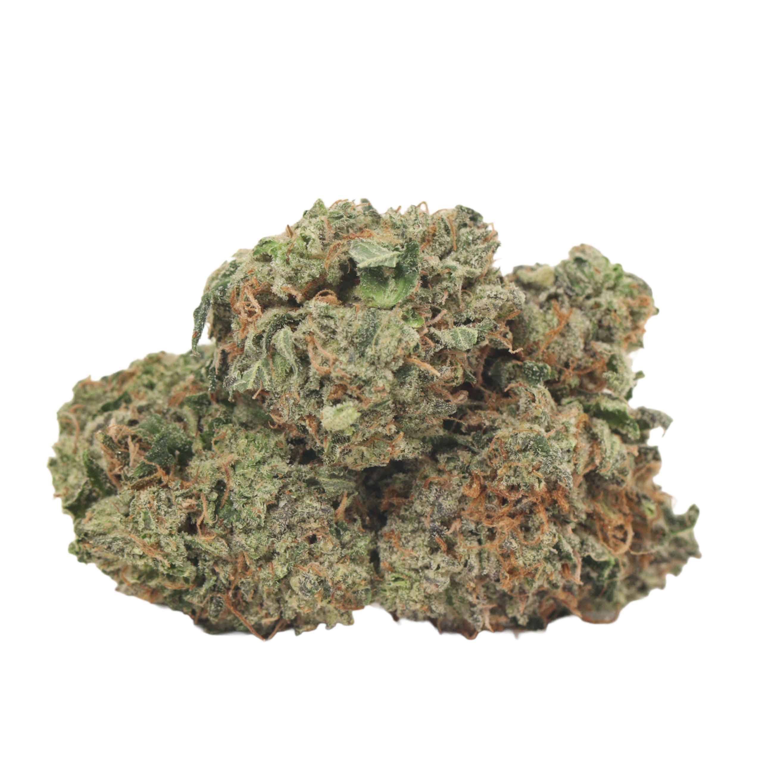 hydro pink strain cannabis