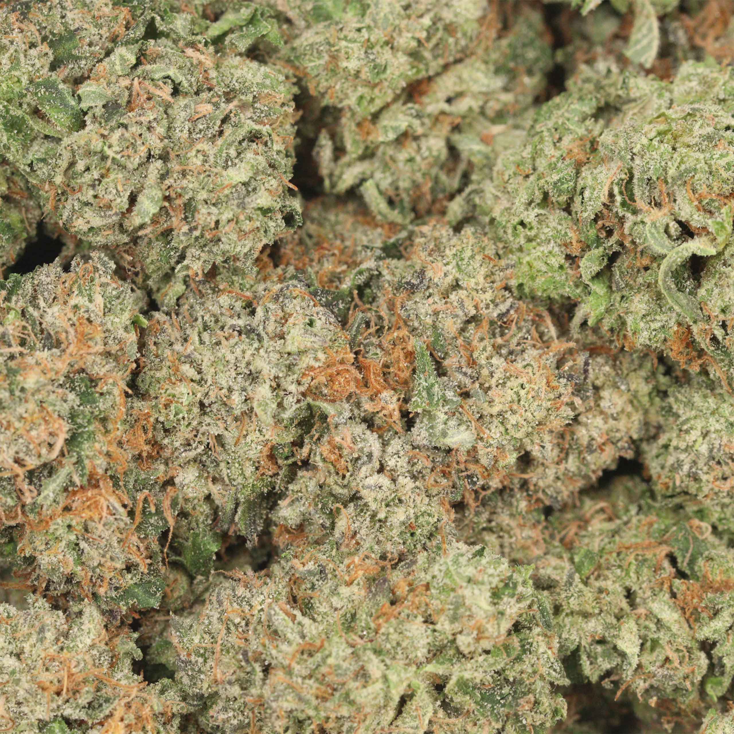 Hydro Pink Kush - Image 3