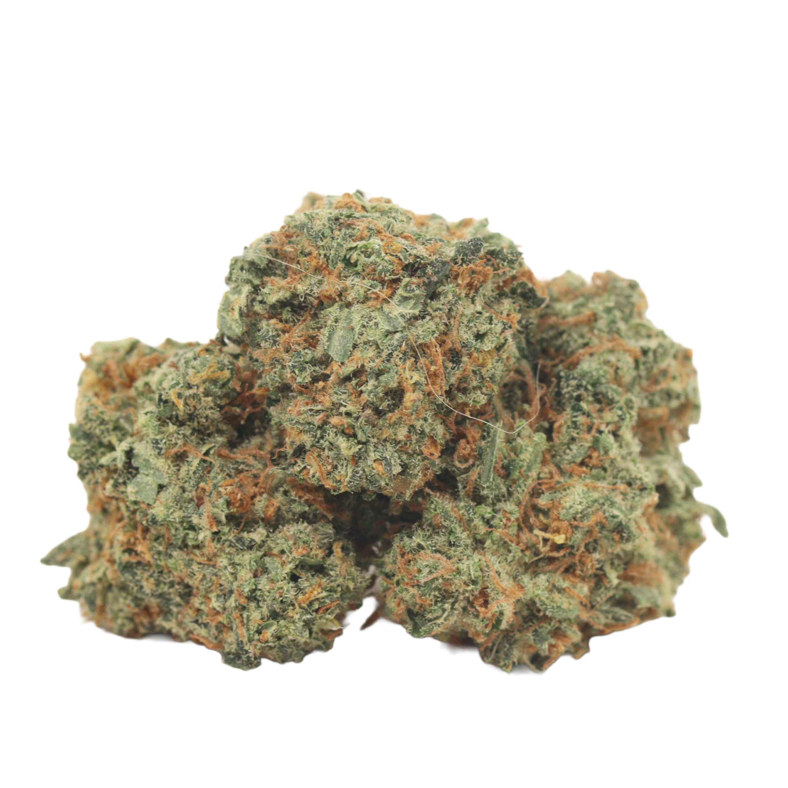 Jet Fuel strain cannabis