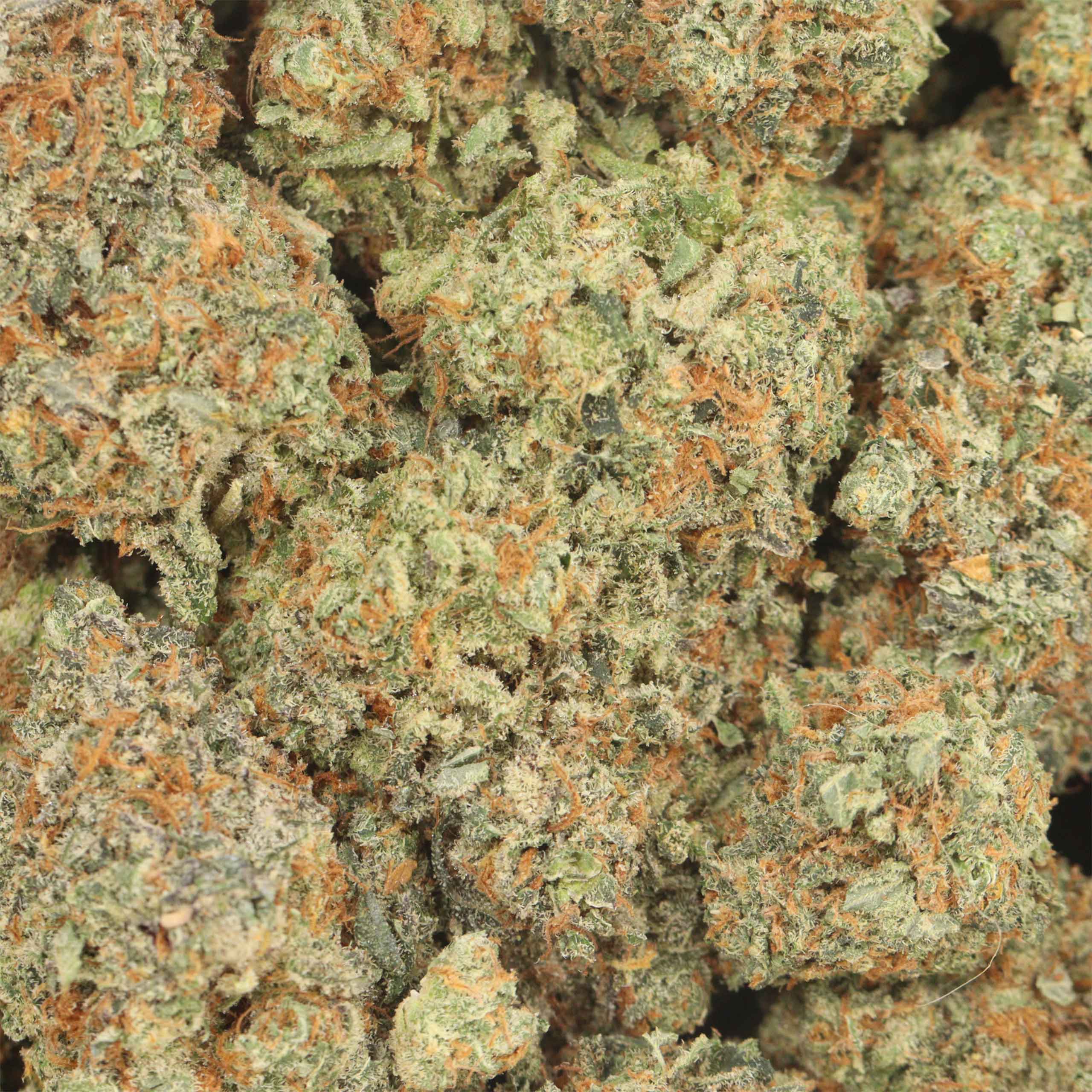Jet Fuel - Image 3