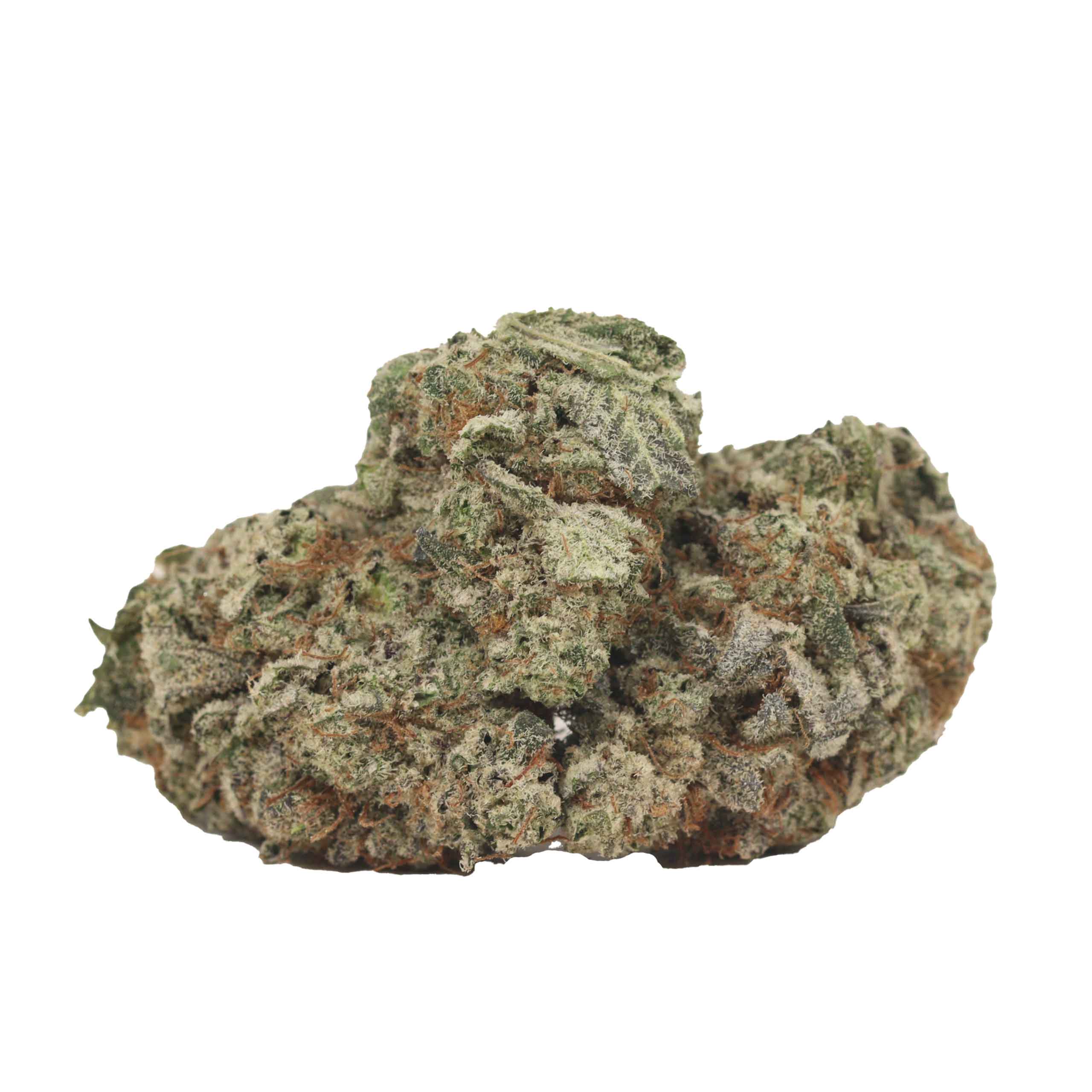 Khalifa Kush strain cannabis