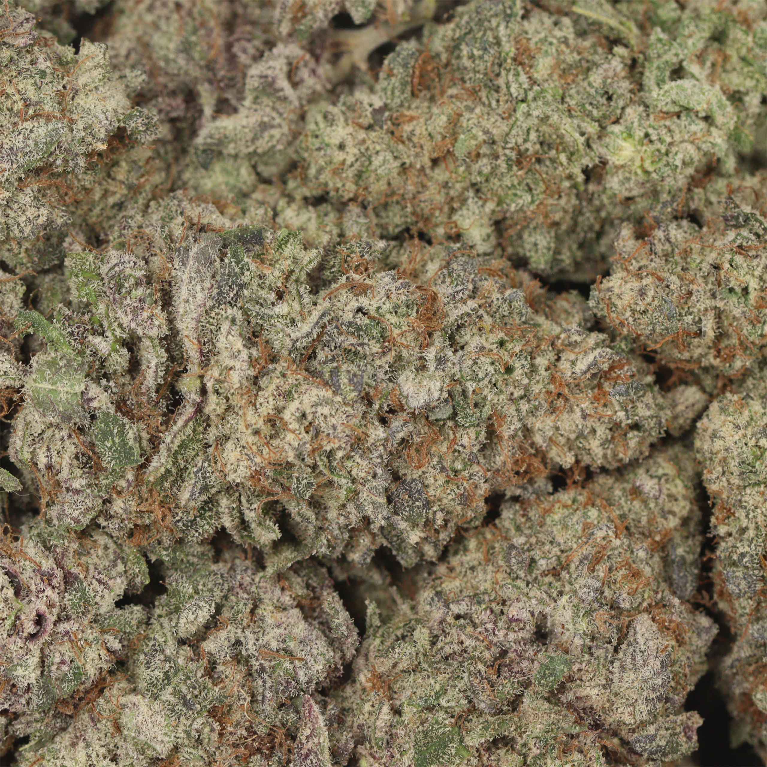 Khalifa Kush - Image 3