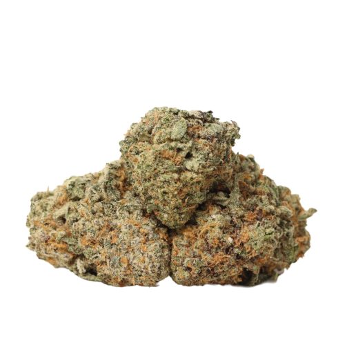 Kush Master strain cannabis