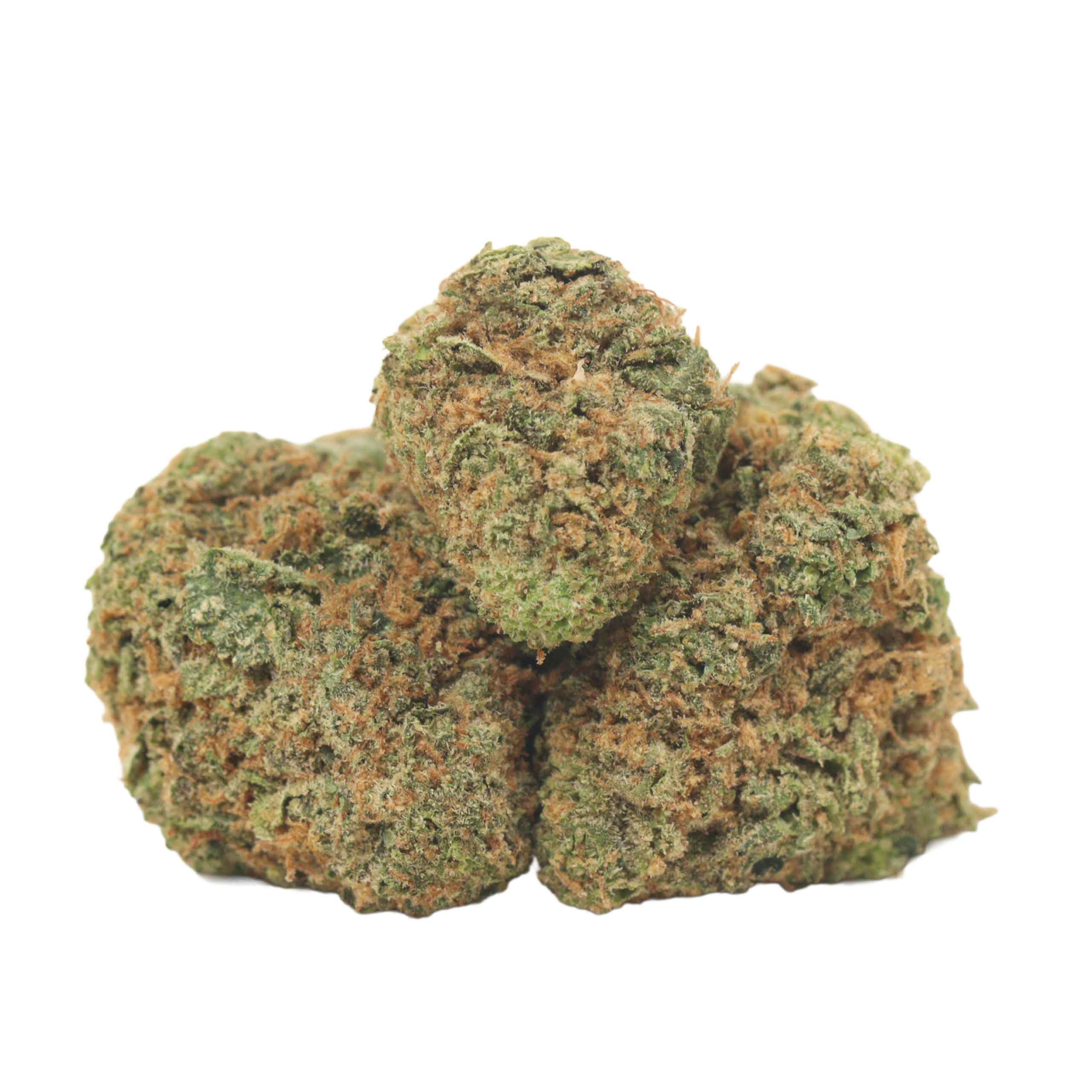 Kush Master strain cannabis