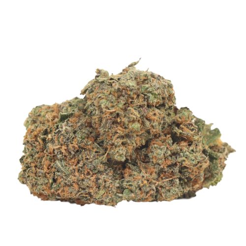 LA Wifi strain cannabis