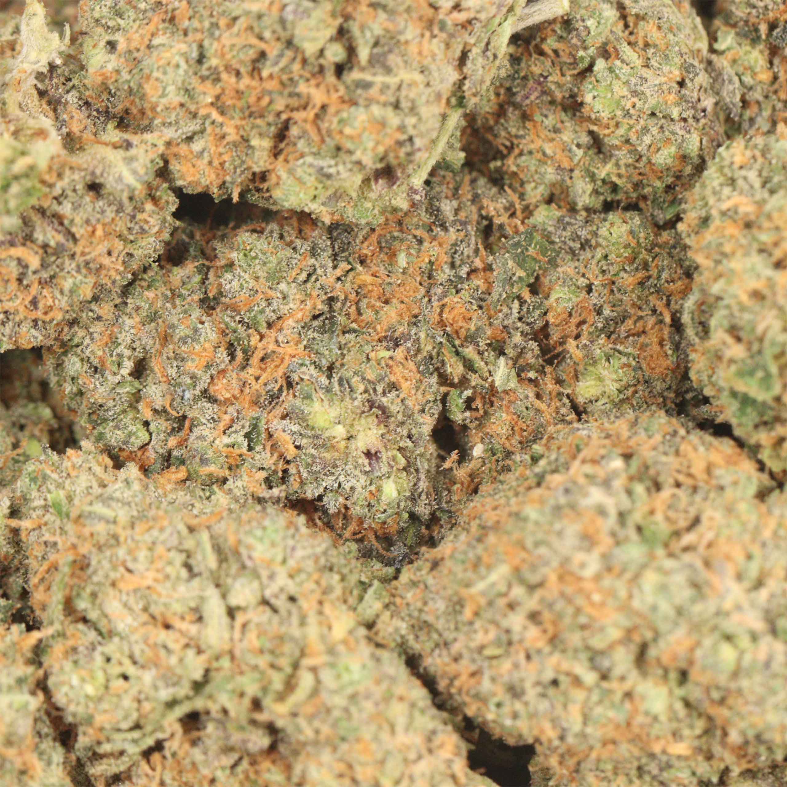 LA Wifi strain cannabis wholesale