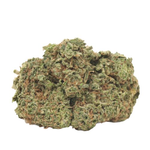Lemon Kush strain cannabis