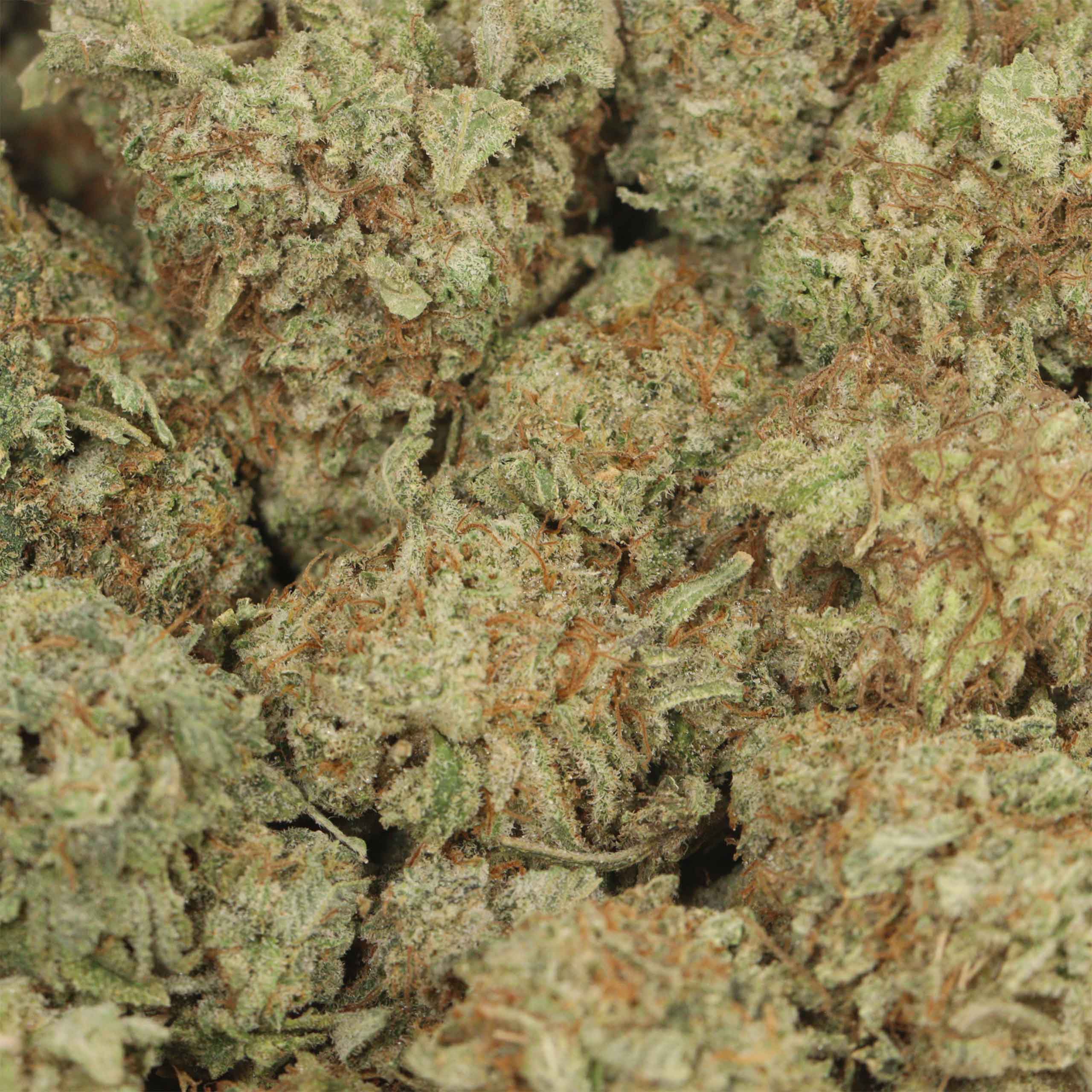 MAC 1 - Image 3