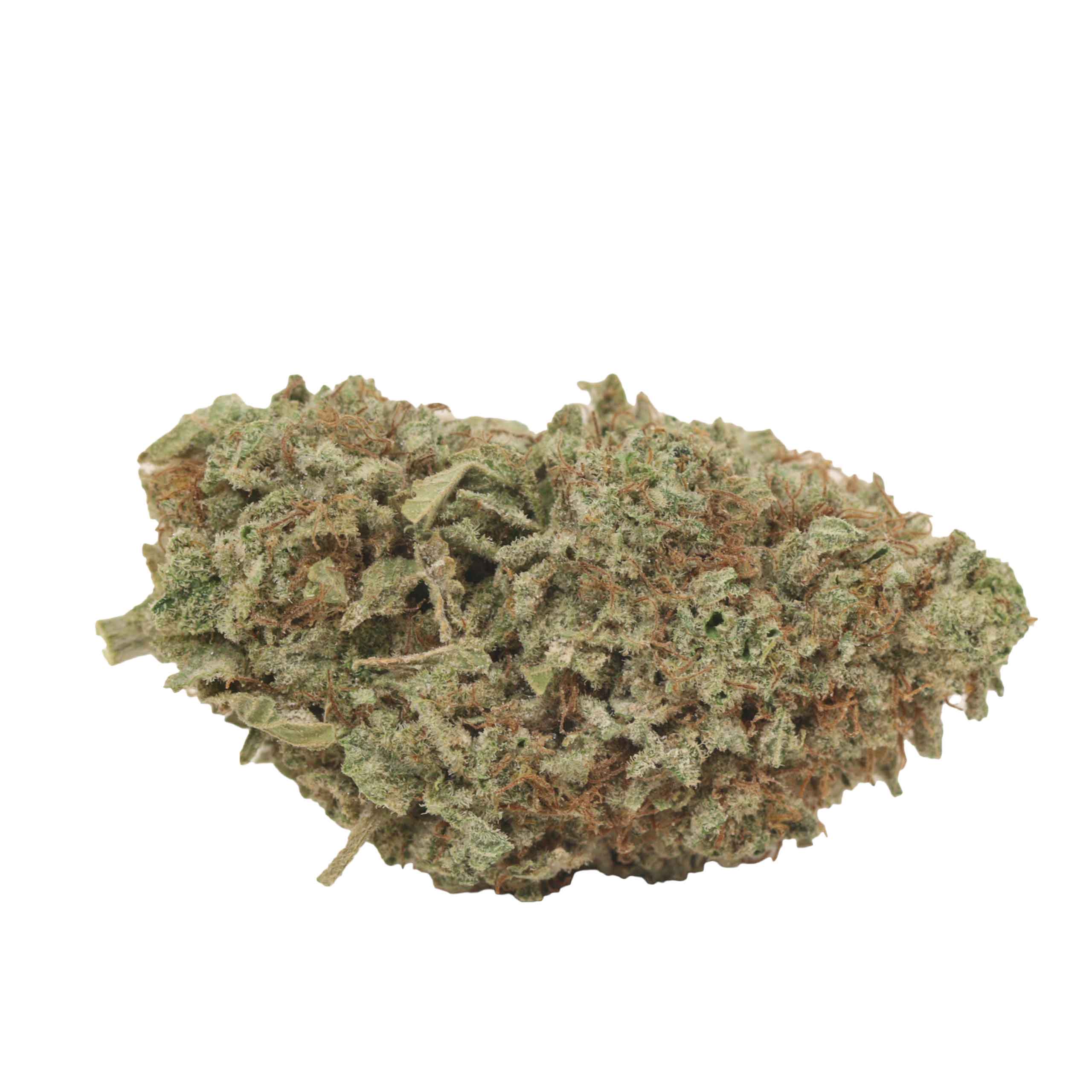 MAC 1 - Image 2