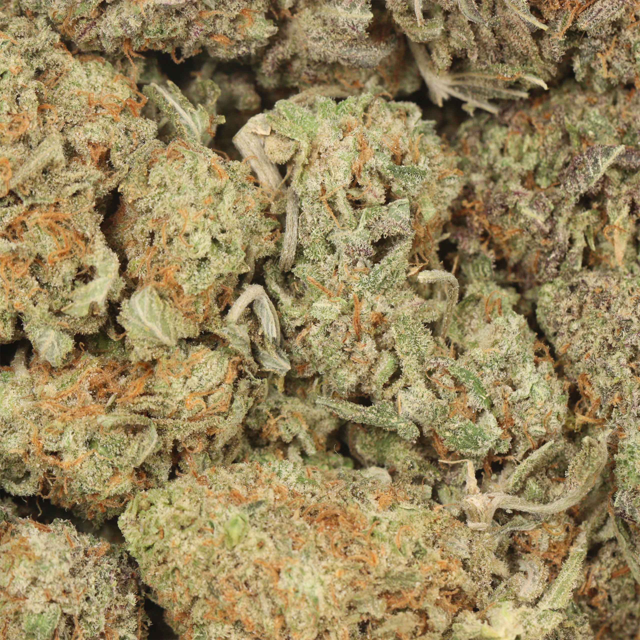 Mac 10 - Image 3