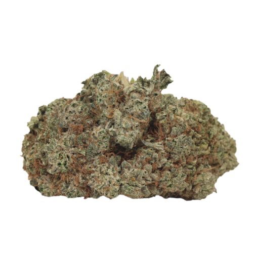 Mango Kush strain cannabis