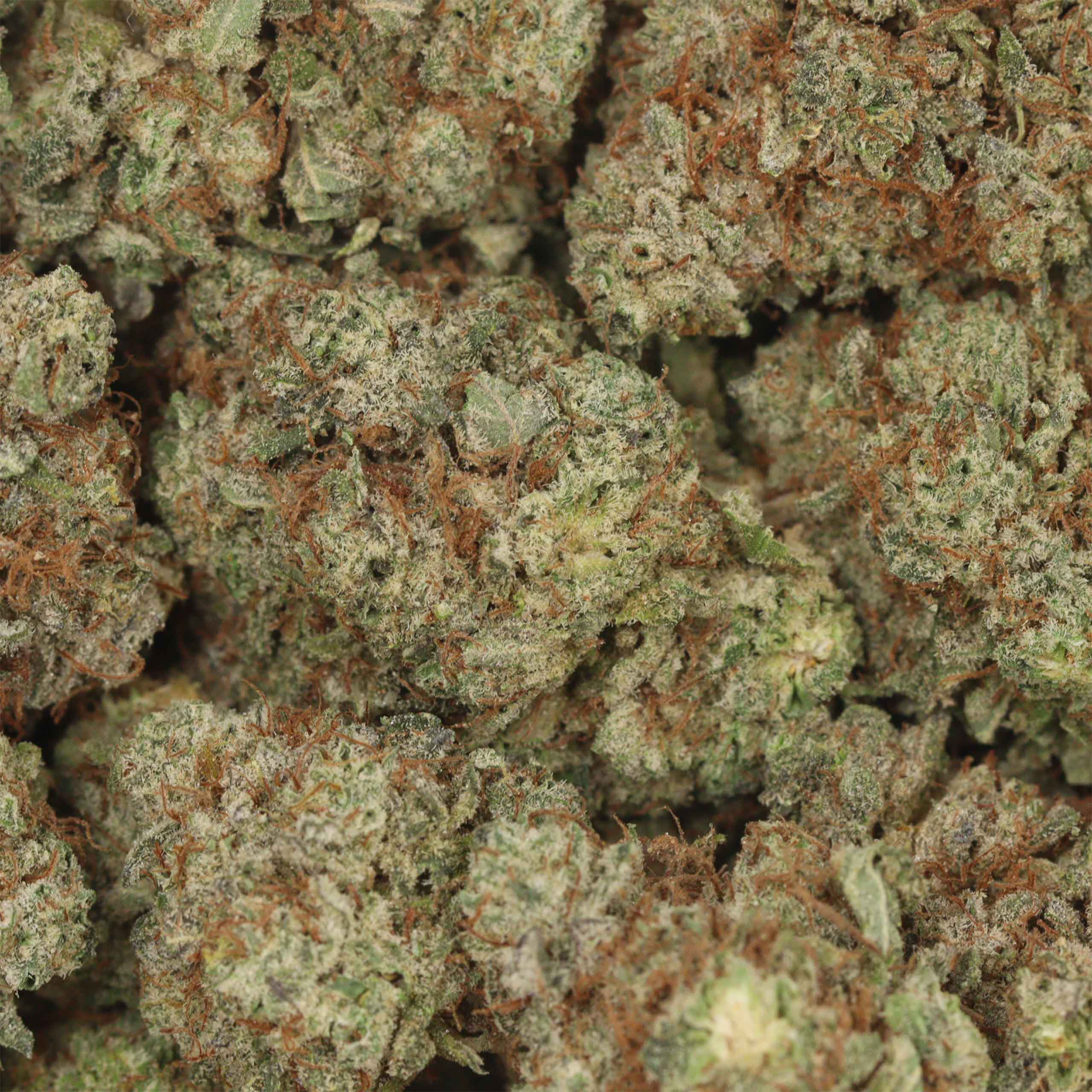 Mango Kush - Image 3