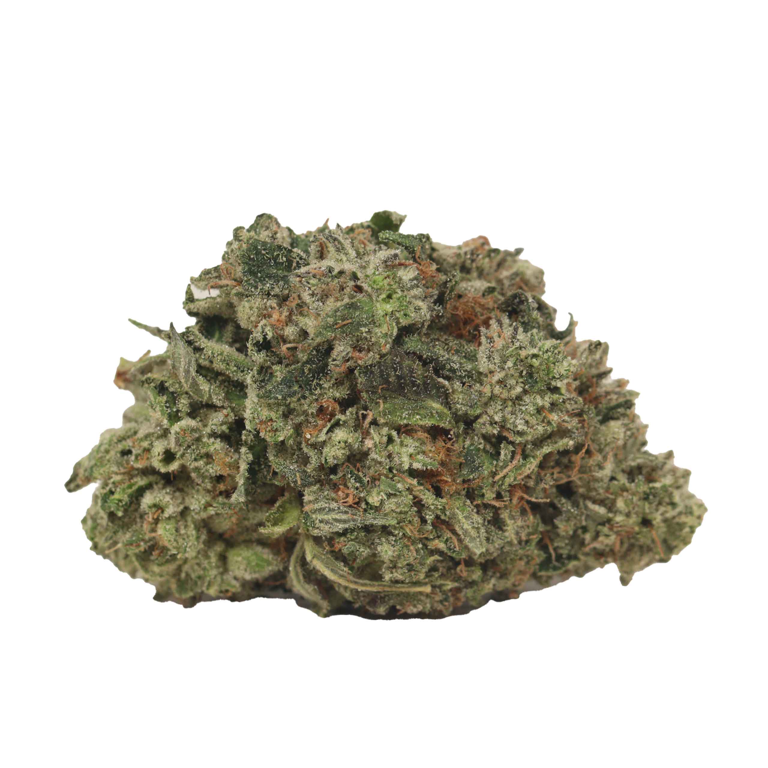 Mike Tyson OG - Image 2