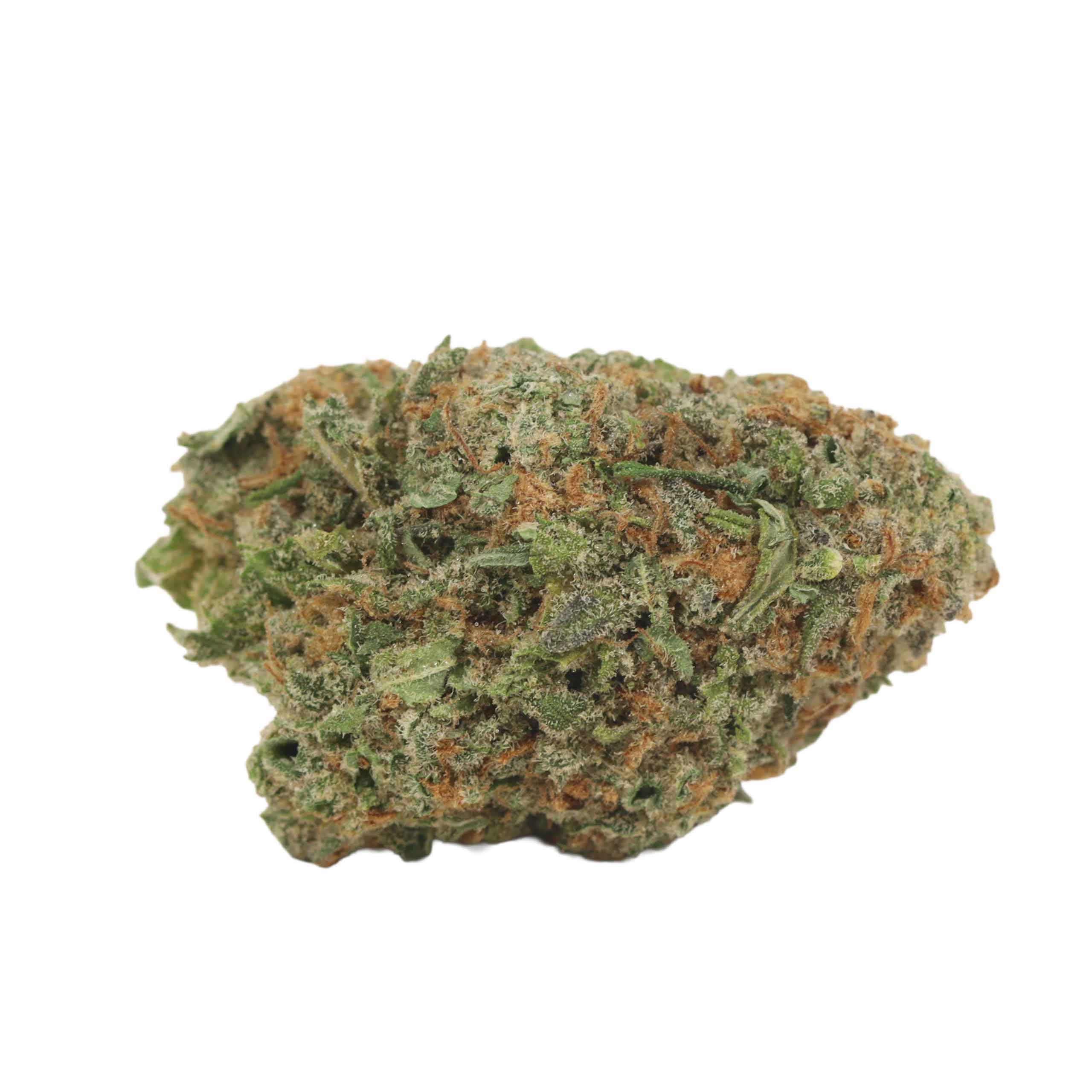 Mimosa - Image 2