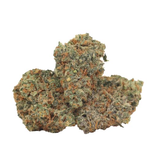 Northern Lights strain cannabis