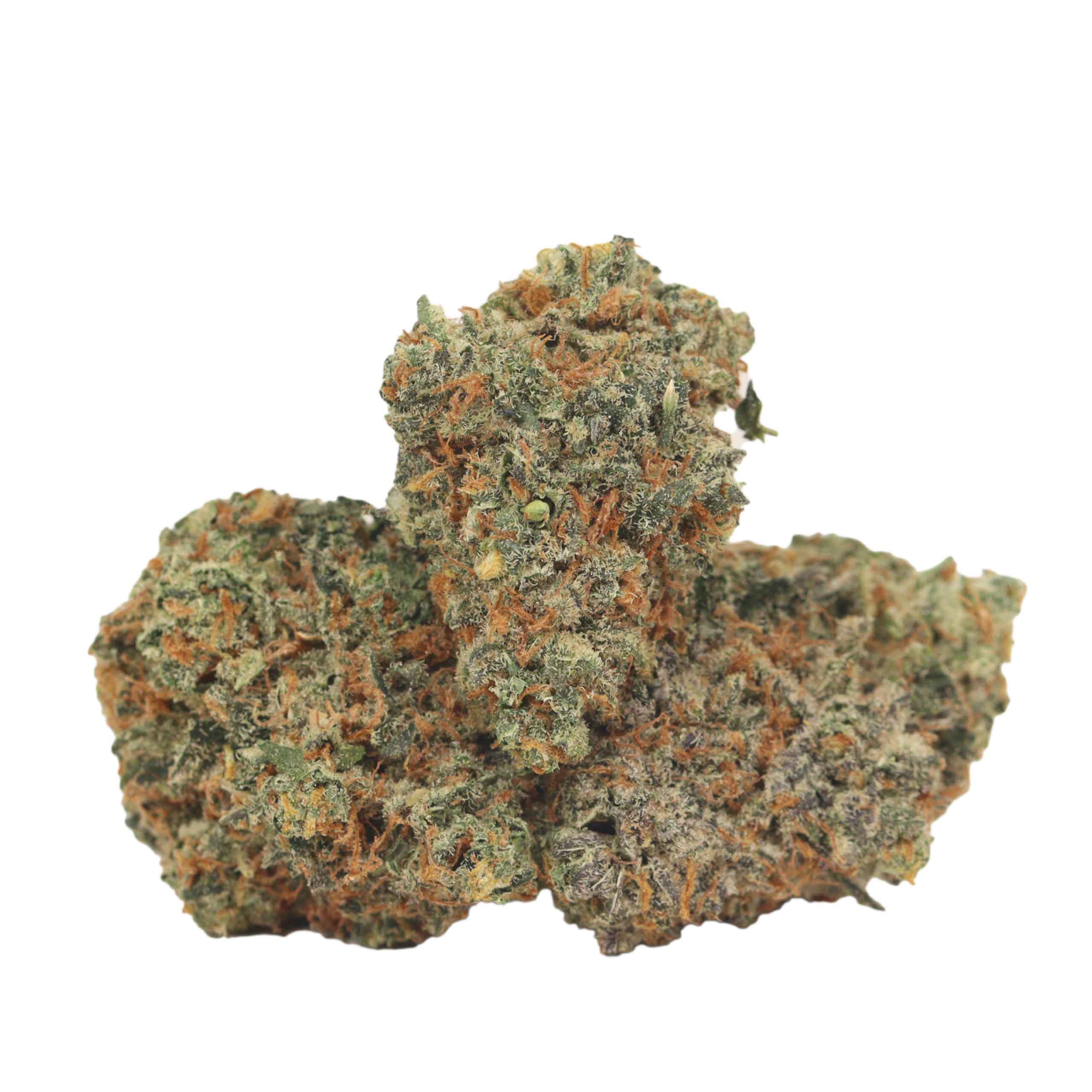 Northern Lights strain cannabis