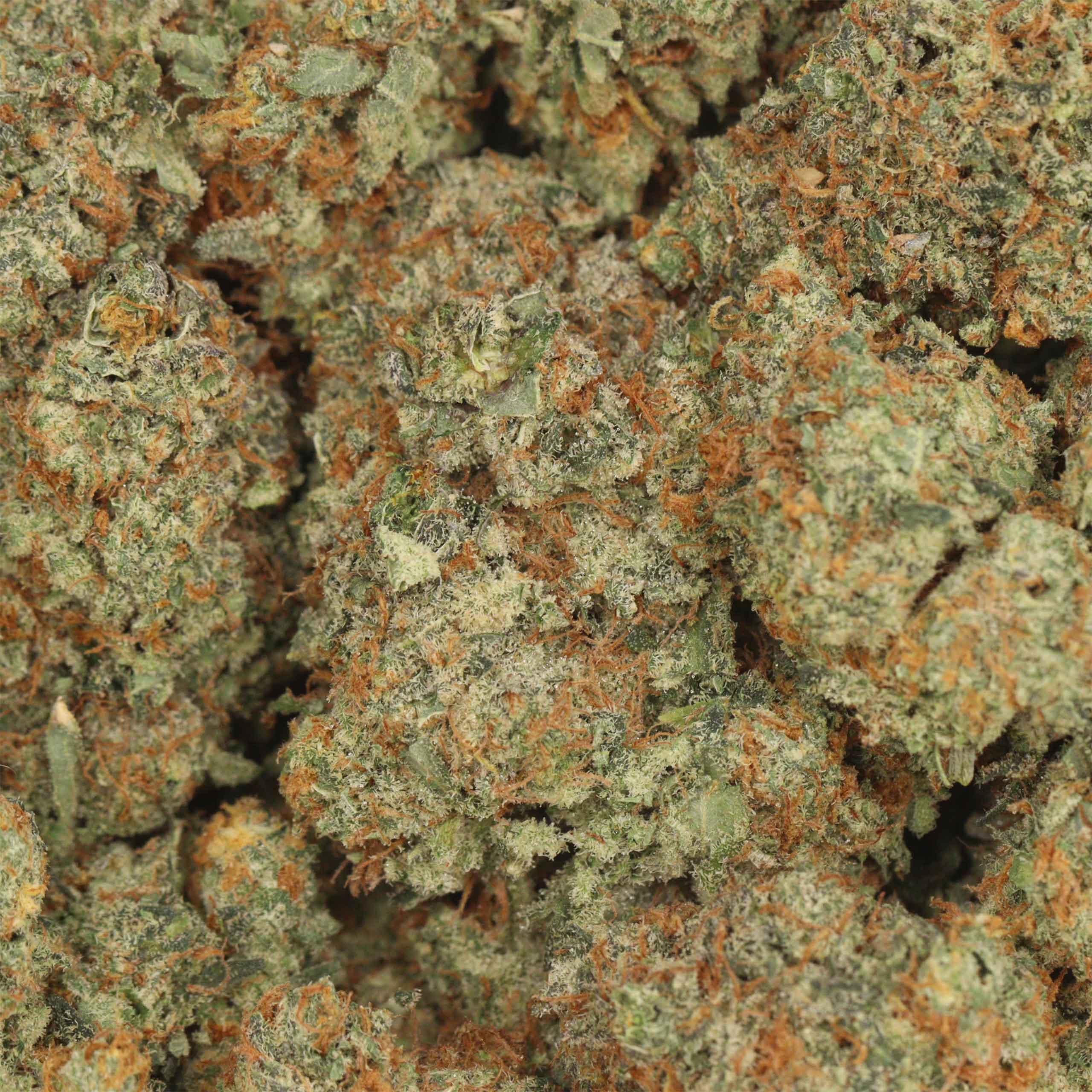 Northern Lights - Image 3