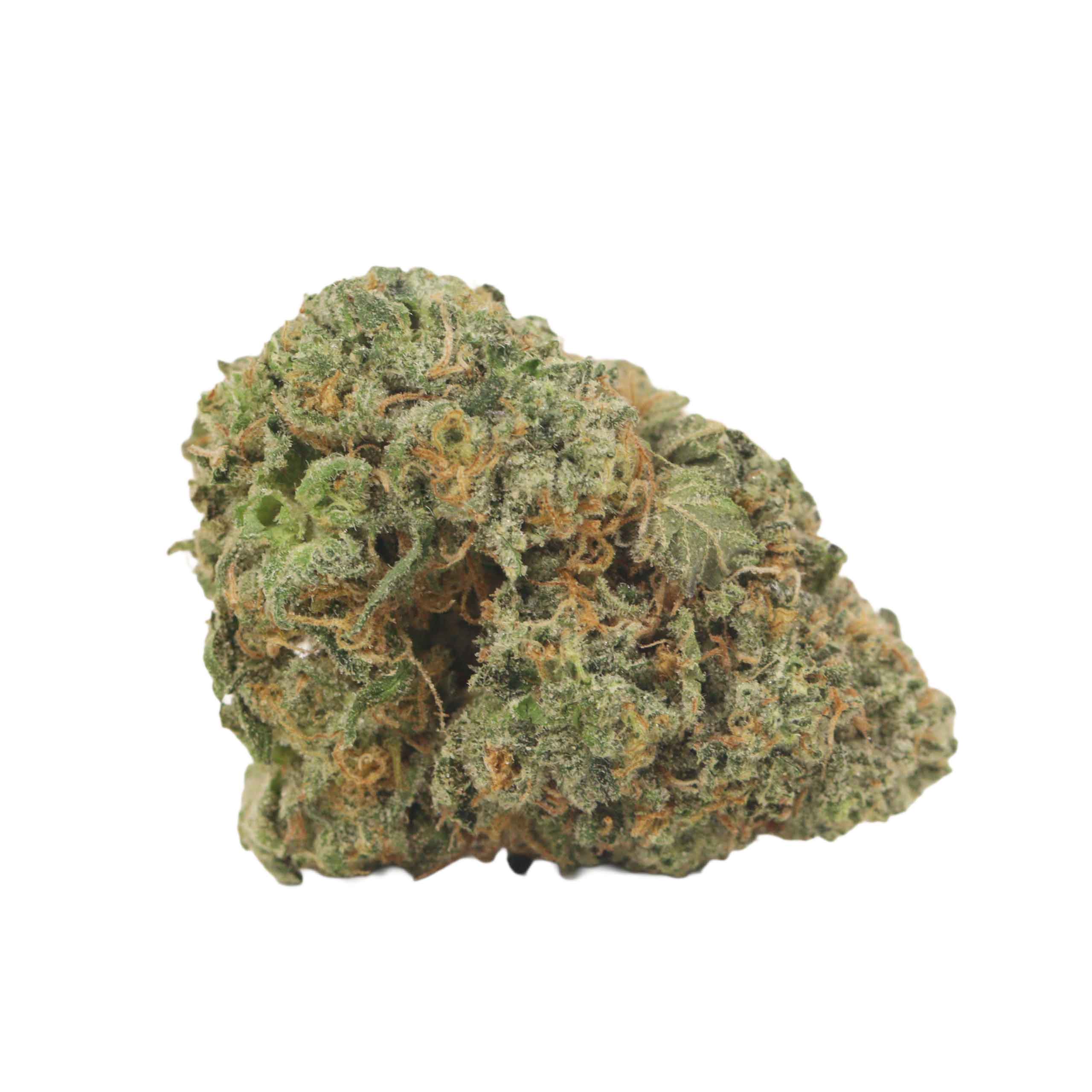 NYC Diesel - Image 2