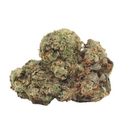 OG Kush strain cannabis