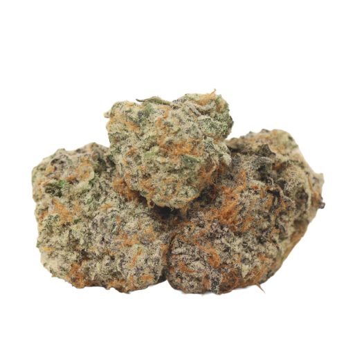 Orange Creamsicle strain cannabis
