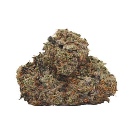 Pineapple Fanta strain cannabis
