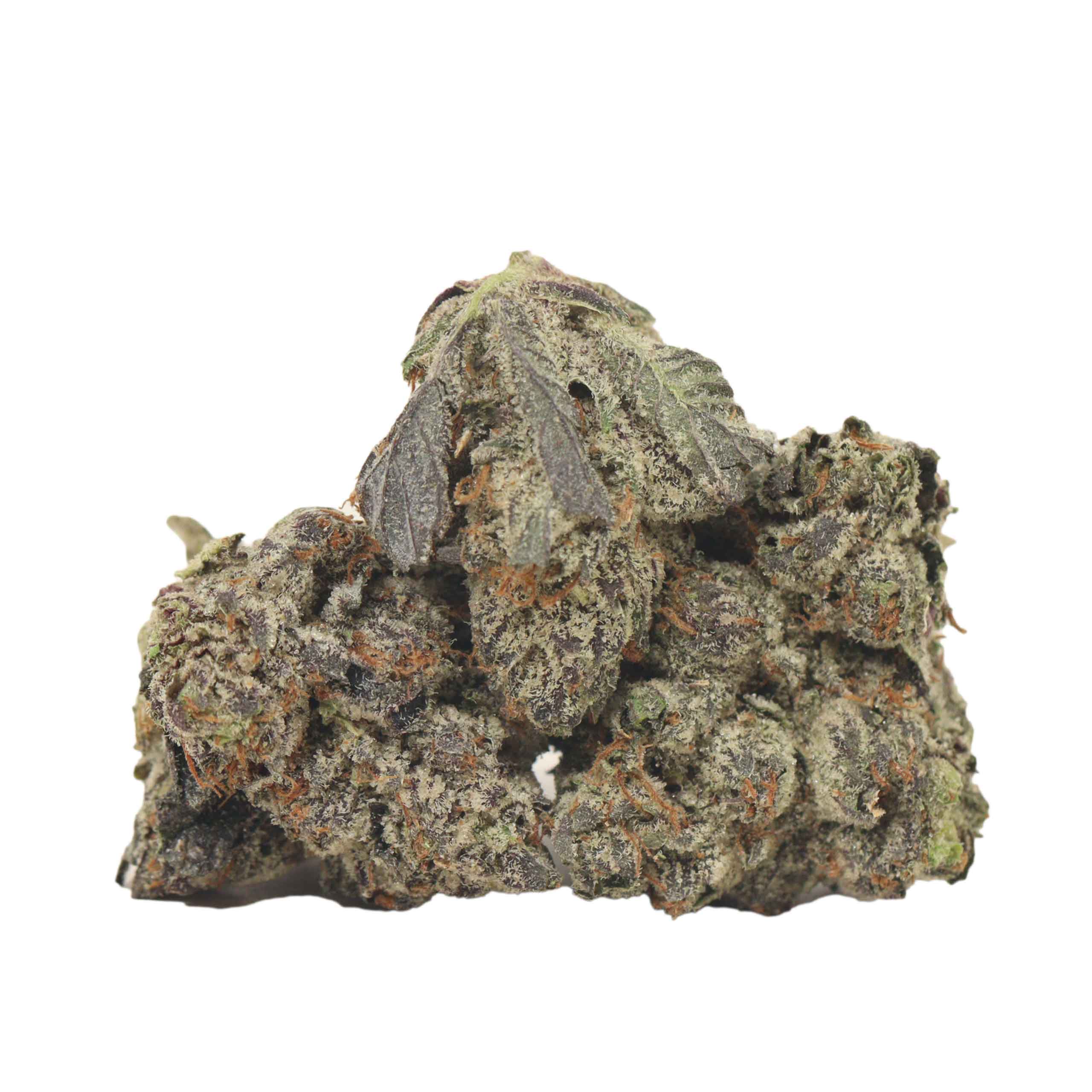 Pink Chapo LSO craft strain cannabis