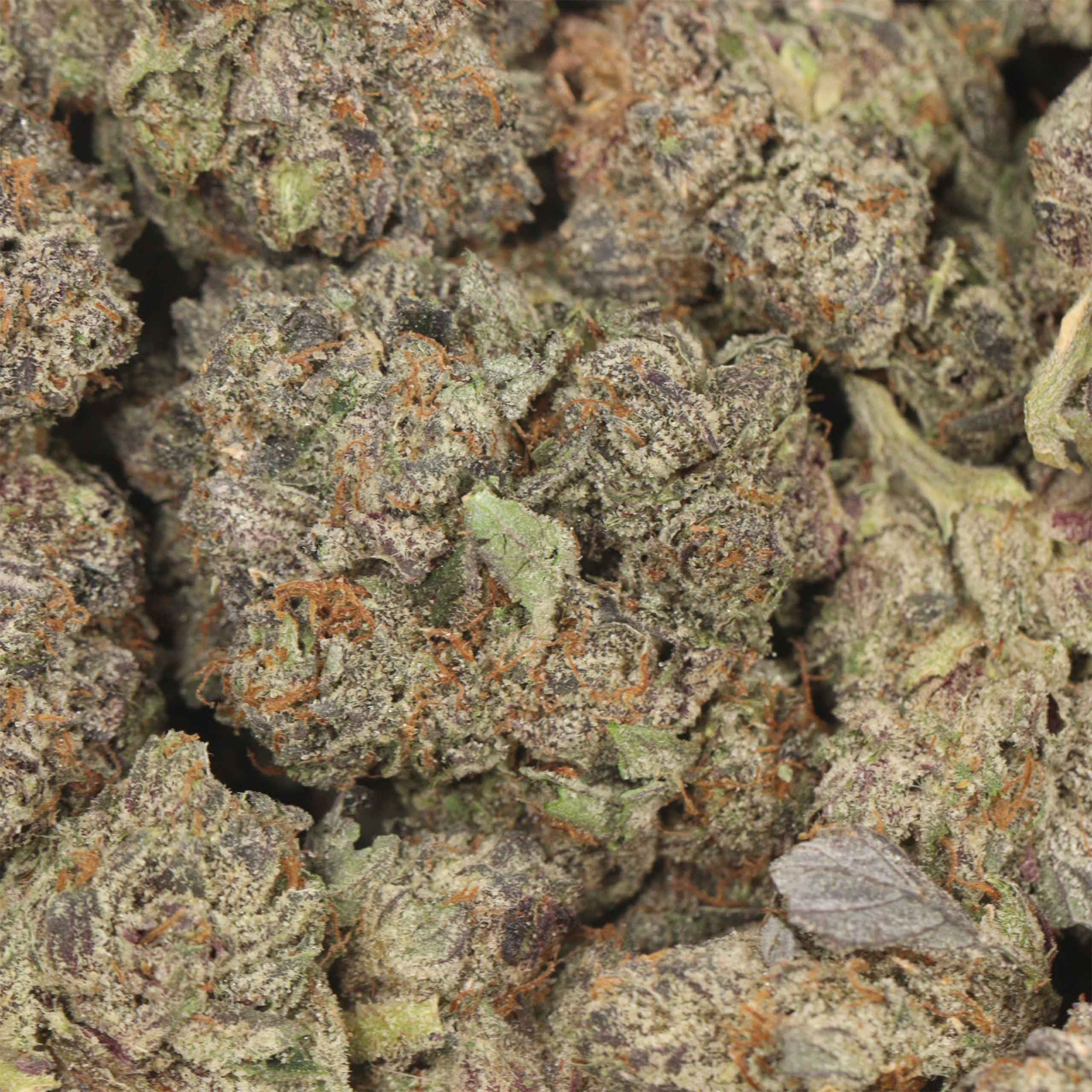 Pink Chapo LSO AAAA+ Indica Craft - Image 3