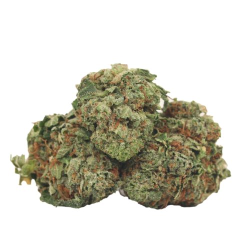 Pink Island Kush strain cannabis