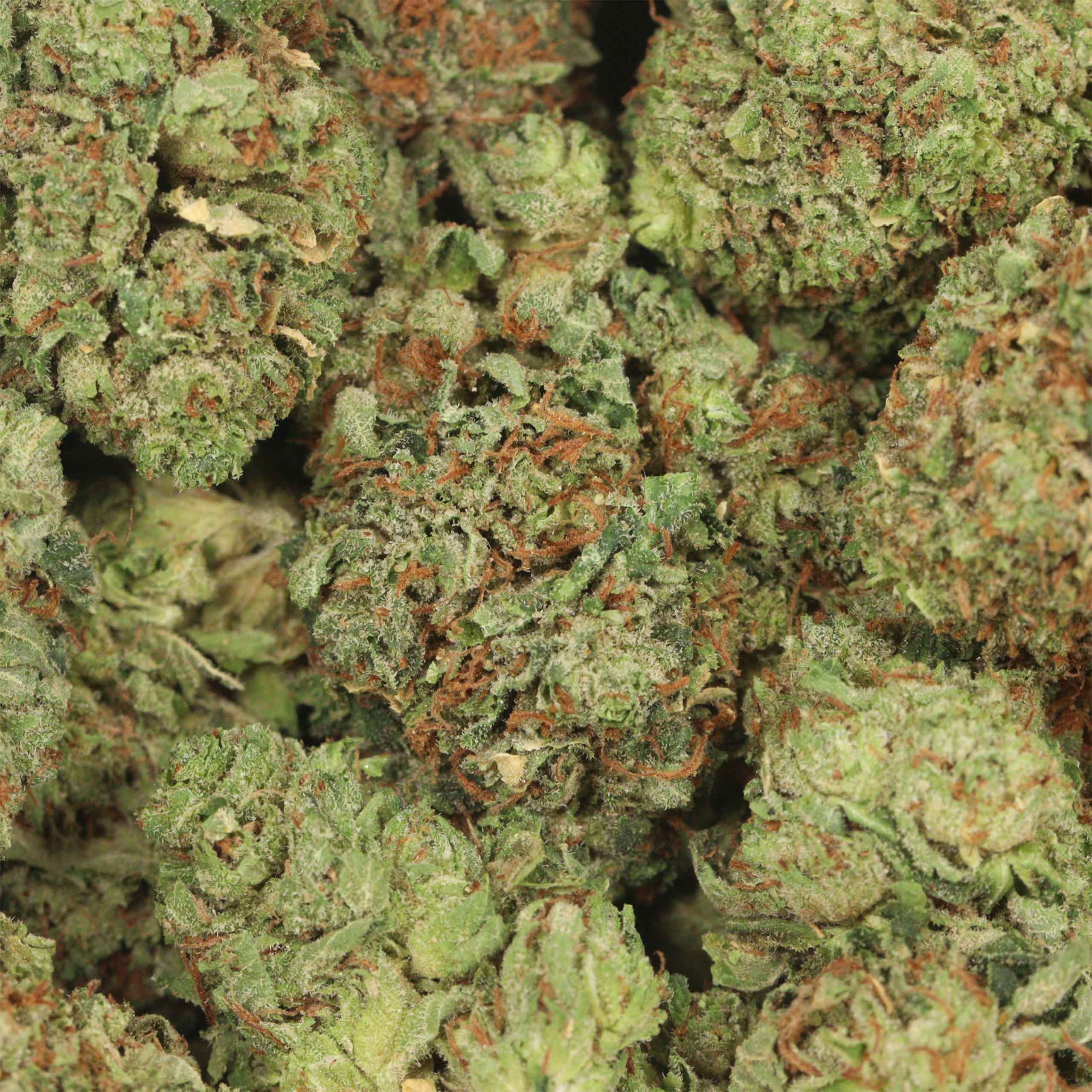 Pink Island Kush - Image 3