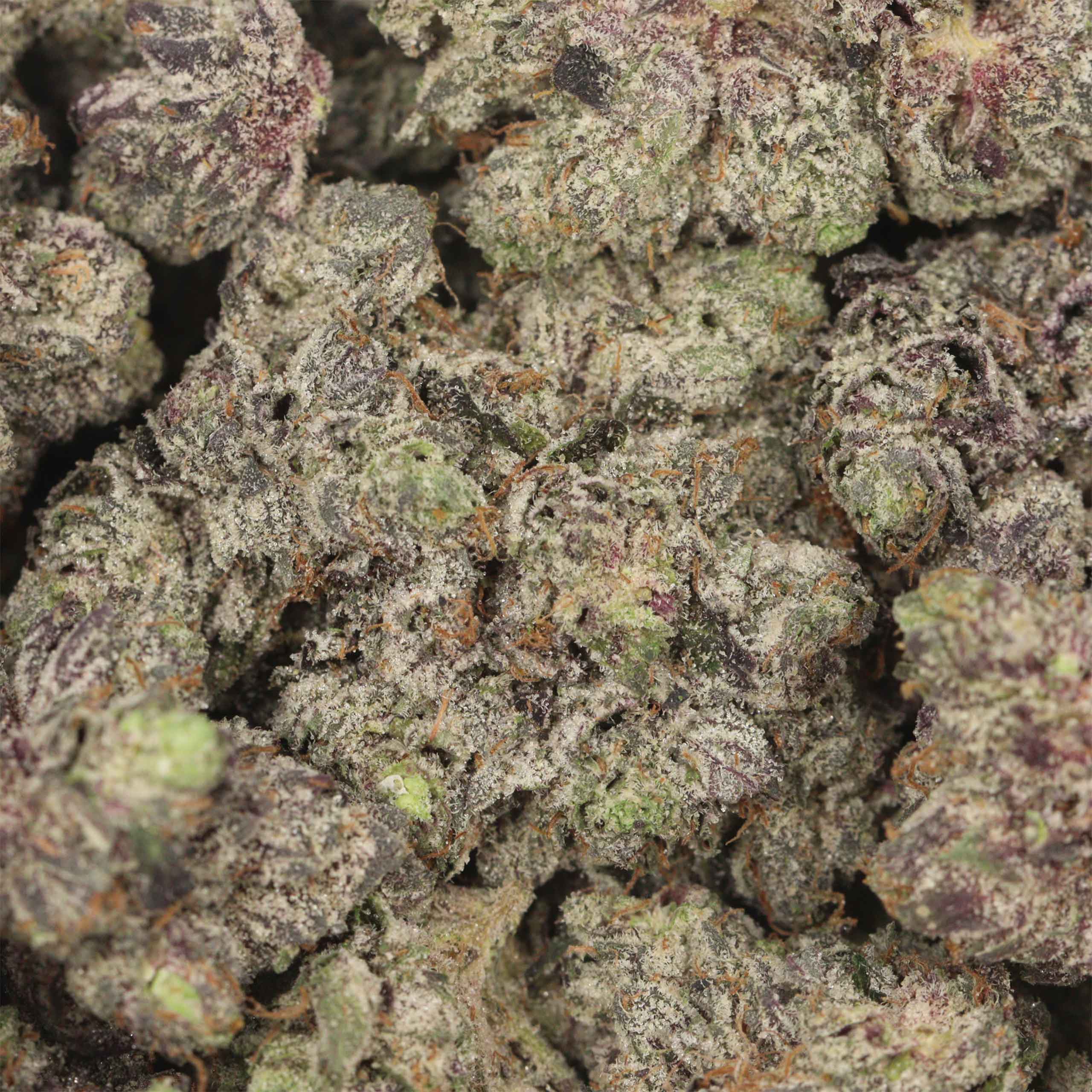 Pink Rob Ford LSO AAAA+ Indica Craft - Image 3