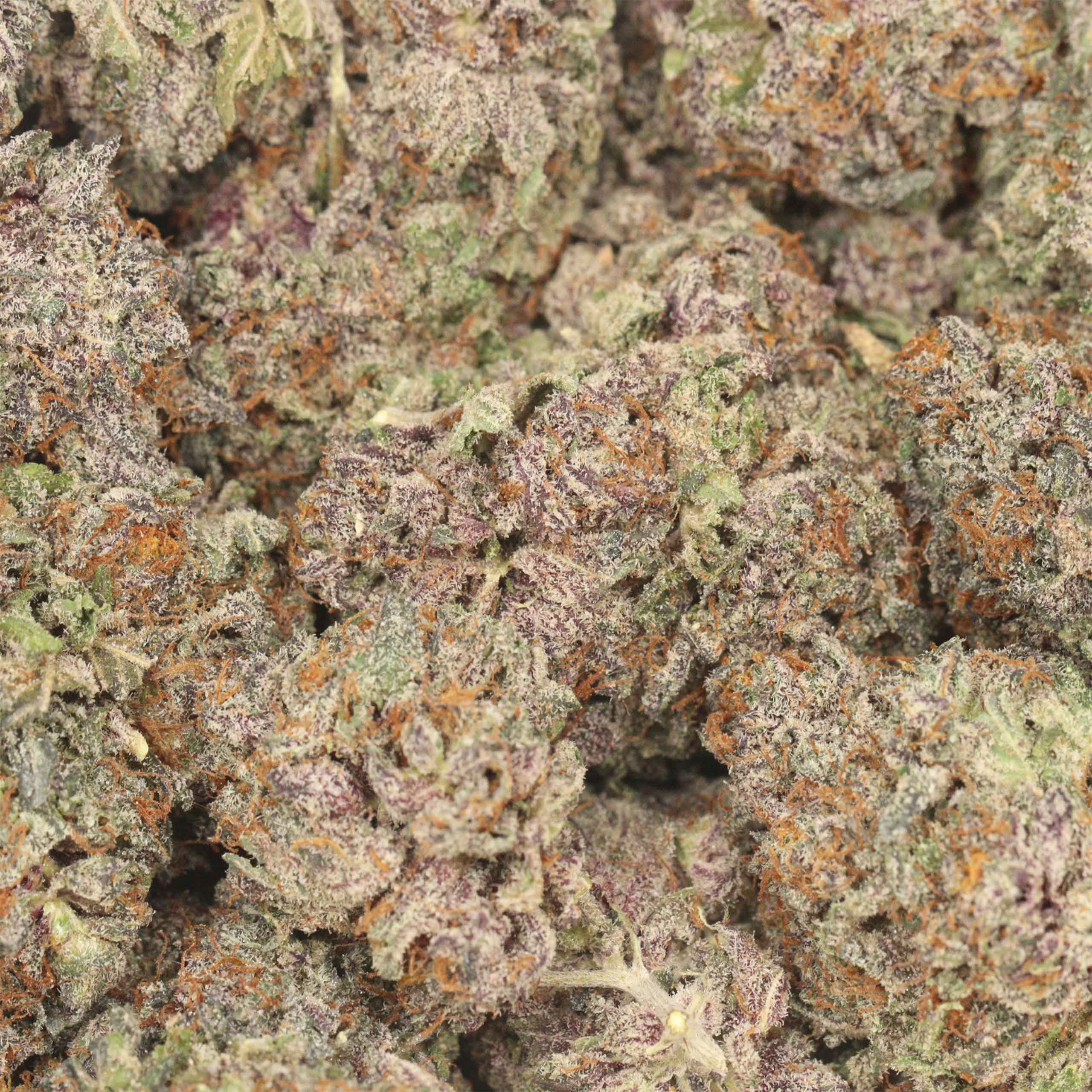 Purple Diamond - Image 3