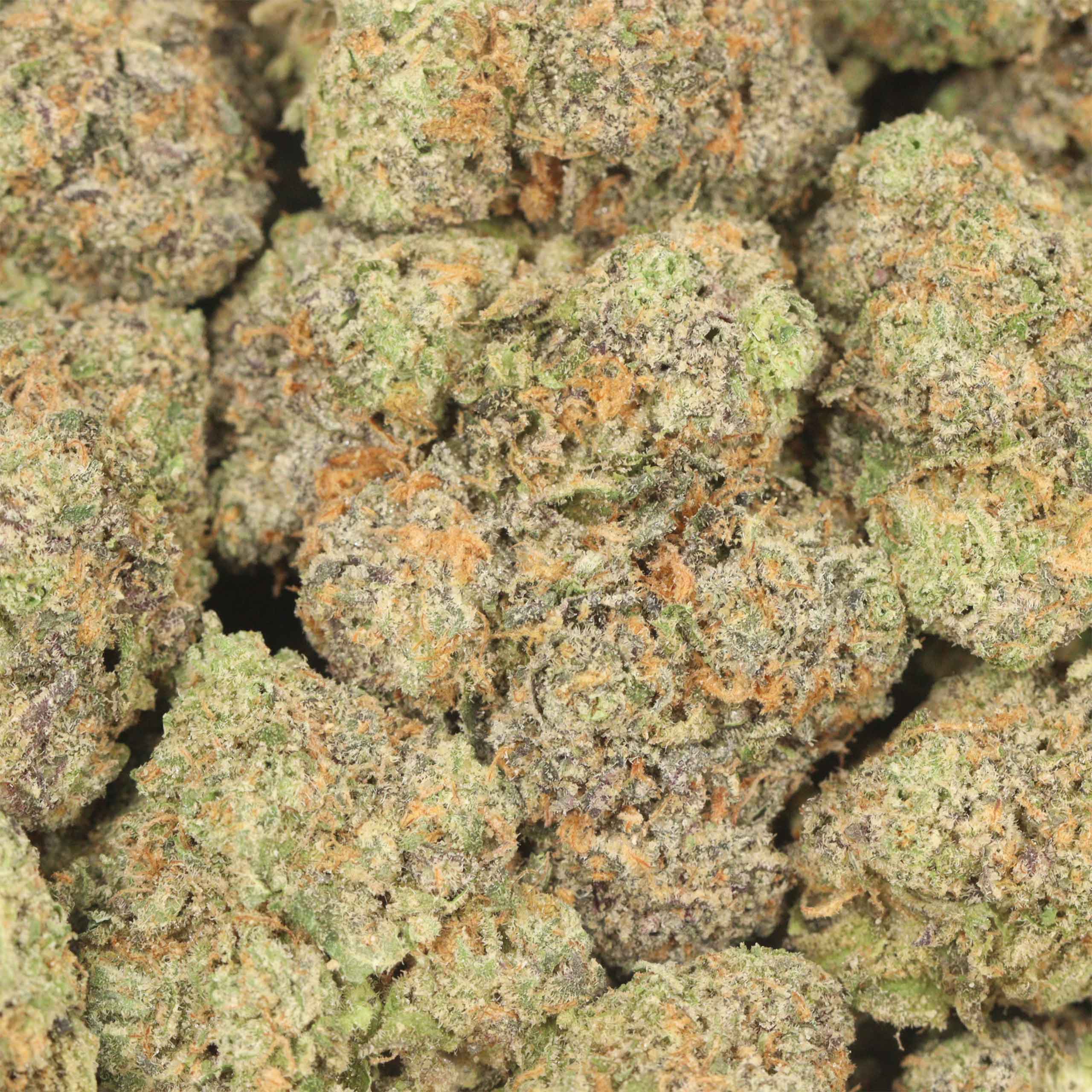 Purple Banana Breath AAAA+ Indica Craft - Image 3