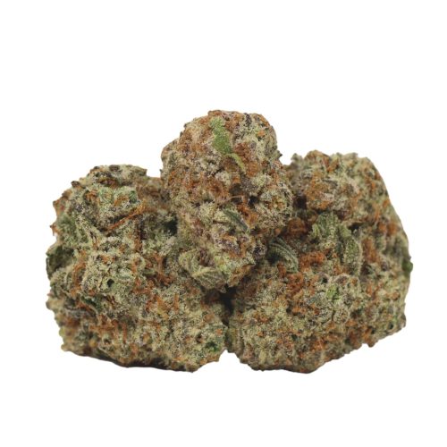 Purple Kush strain cannabis