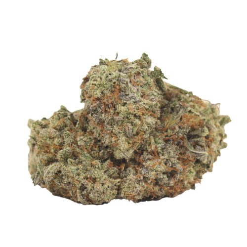 Rainy Lady strain cannabis