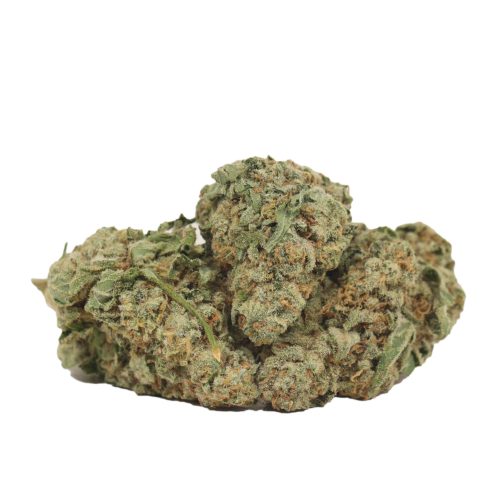 Red Congolese strain cannabis