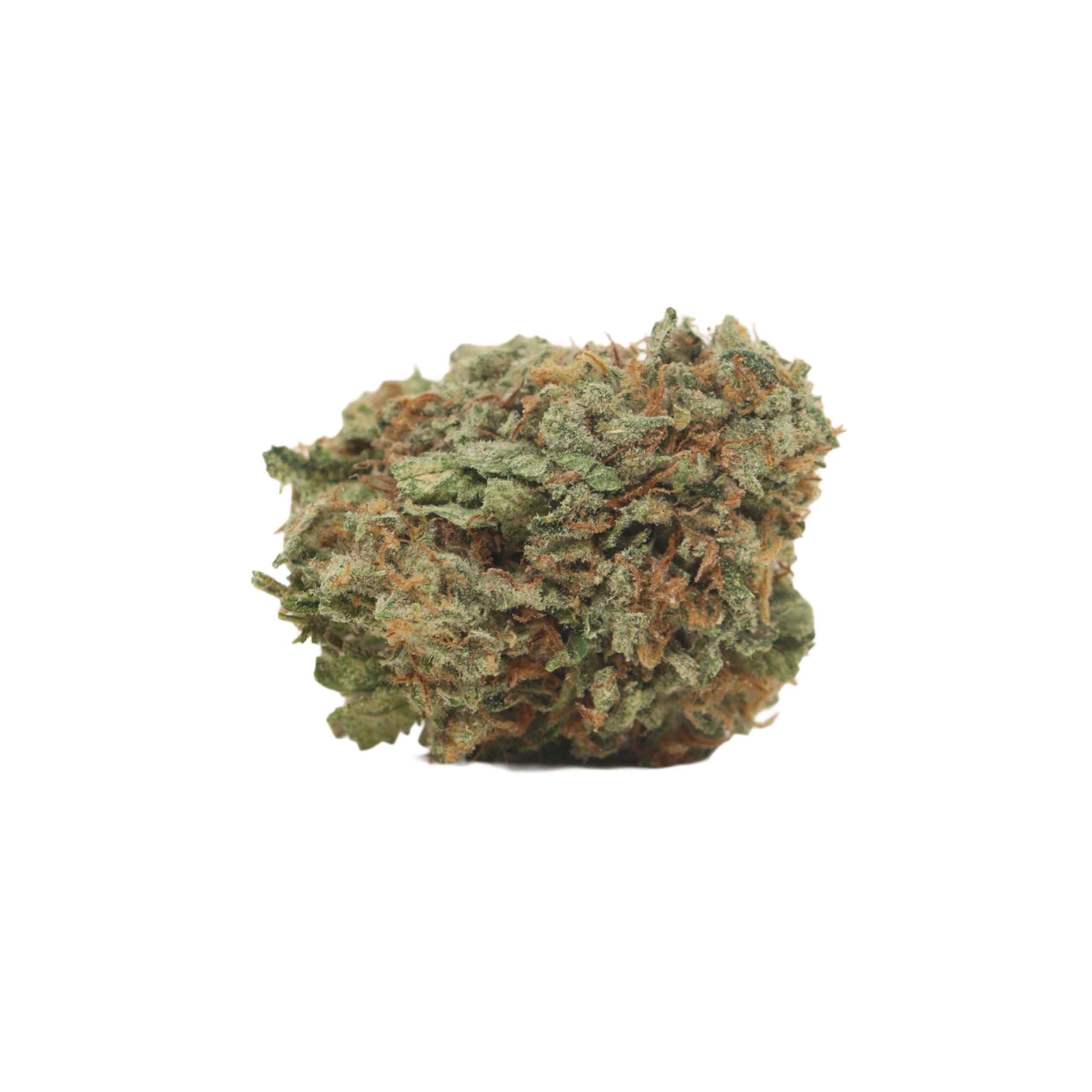 Starbud - Image 2