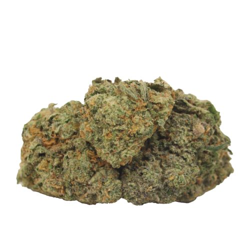 Tropicanna Banana strain cannabis