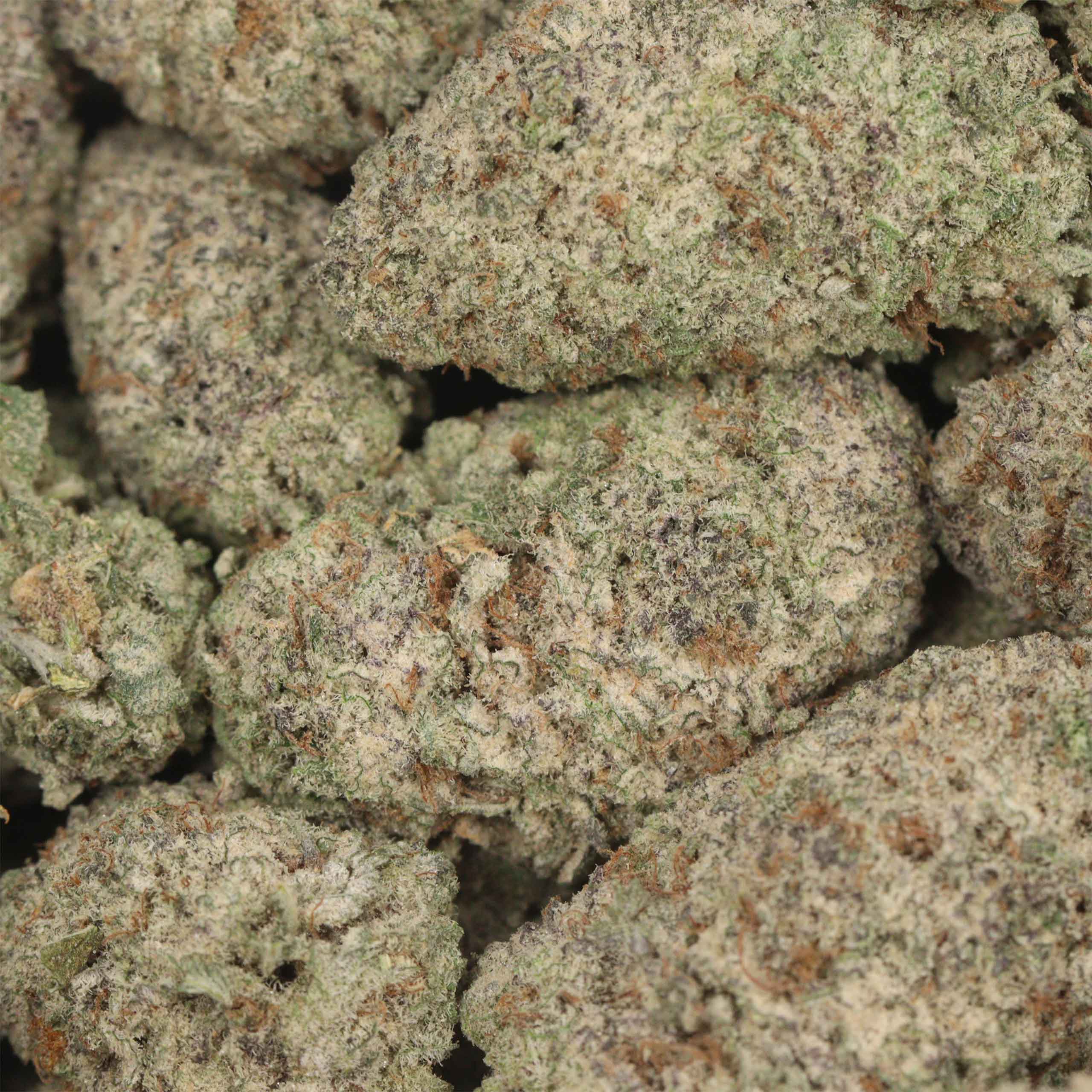 Tropicana Jet Fuel - Image 3