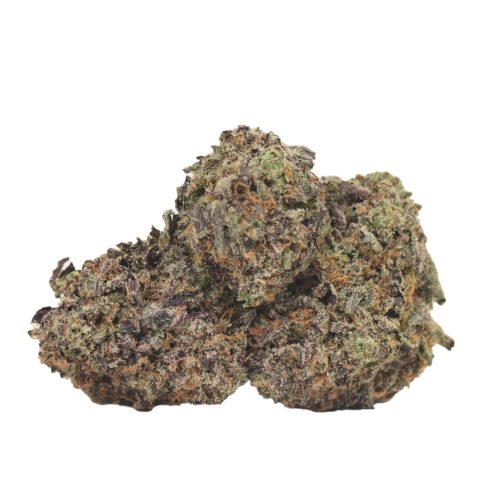 Tuna Kush craft strain cannabis