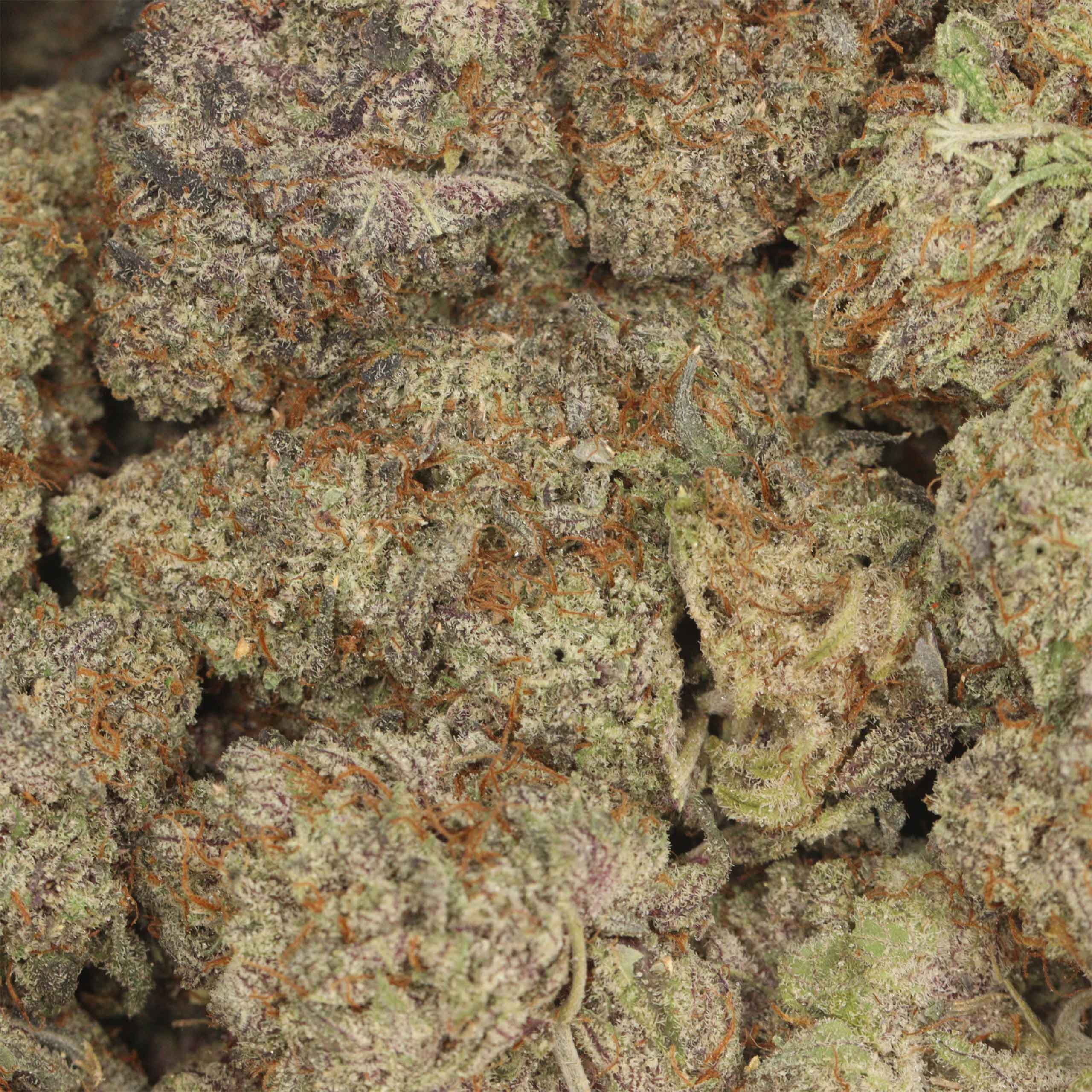 Unicorn Poop - Image 3