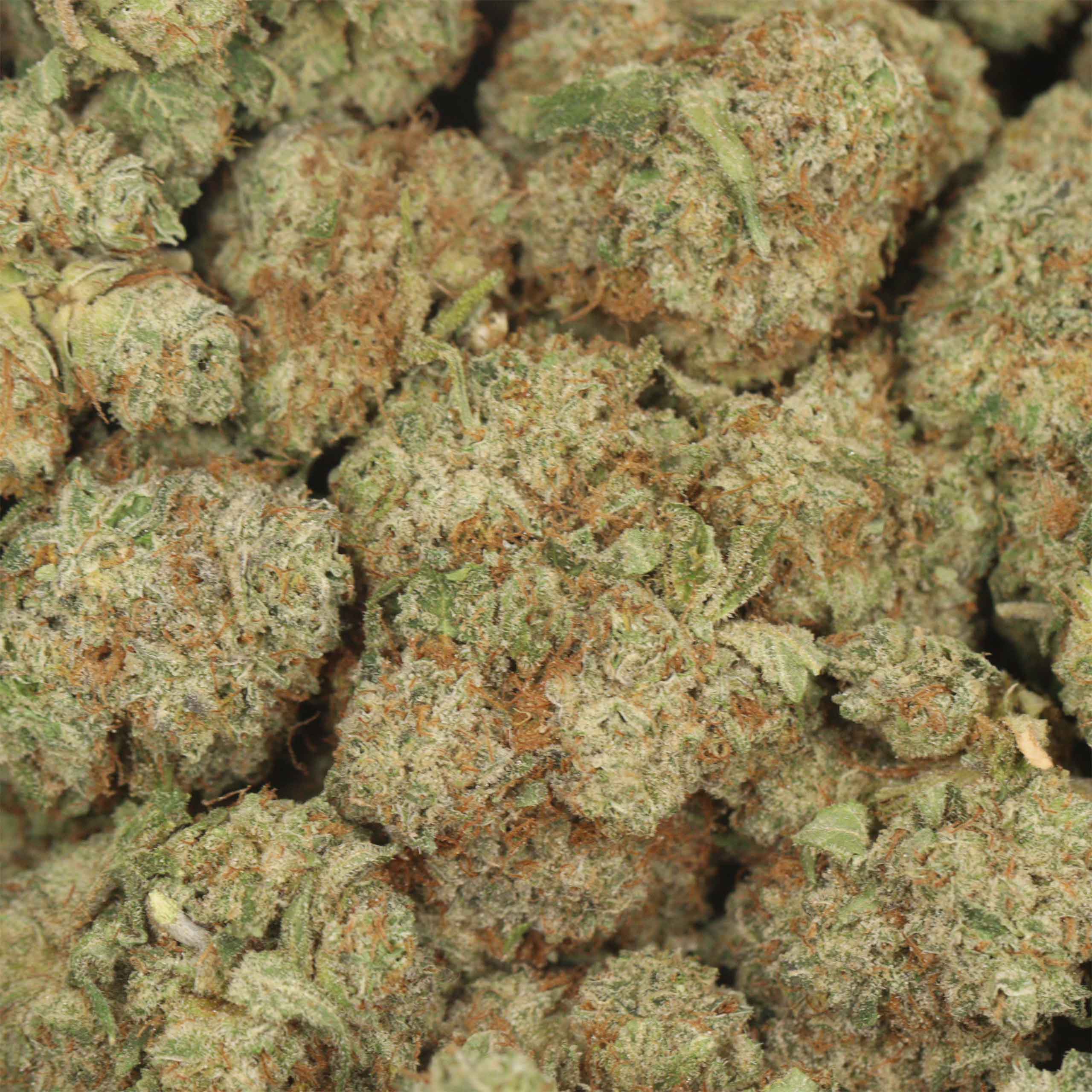 White Wedding - Image 3