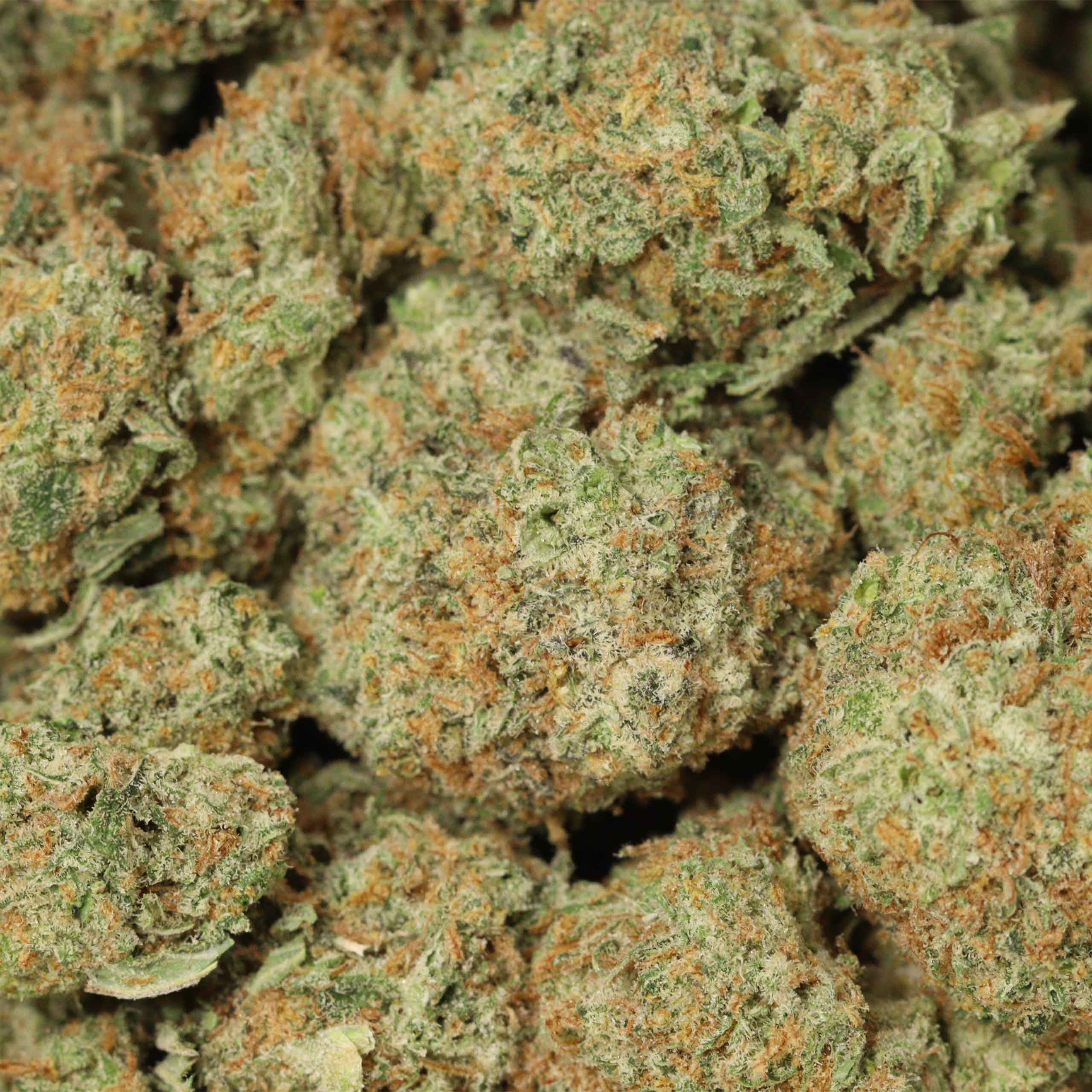 White Widow - Image 3