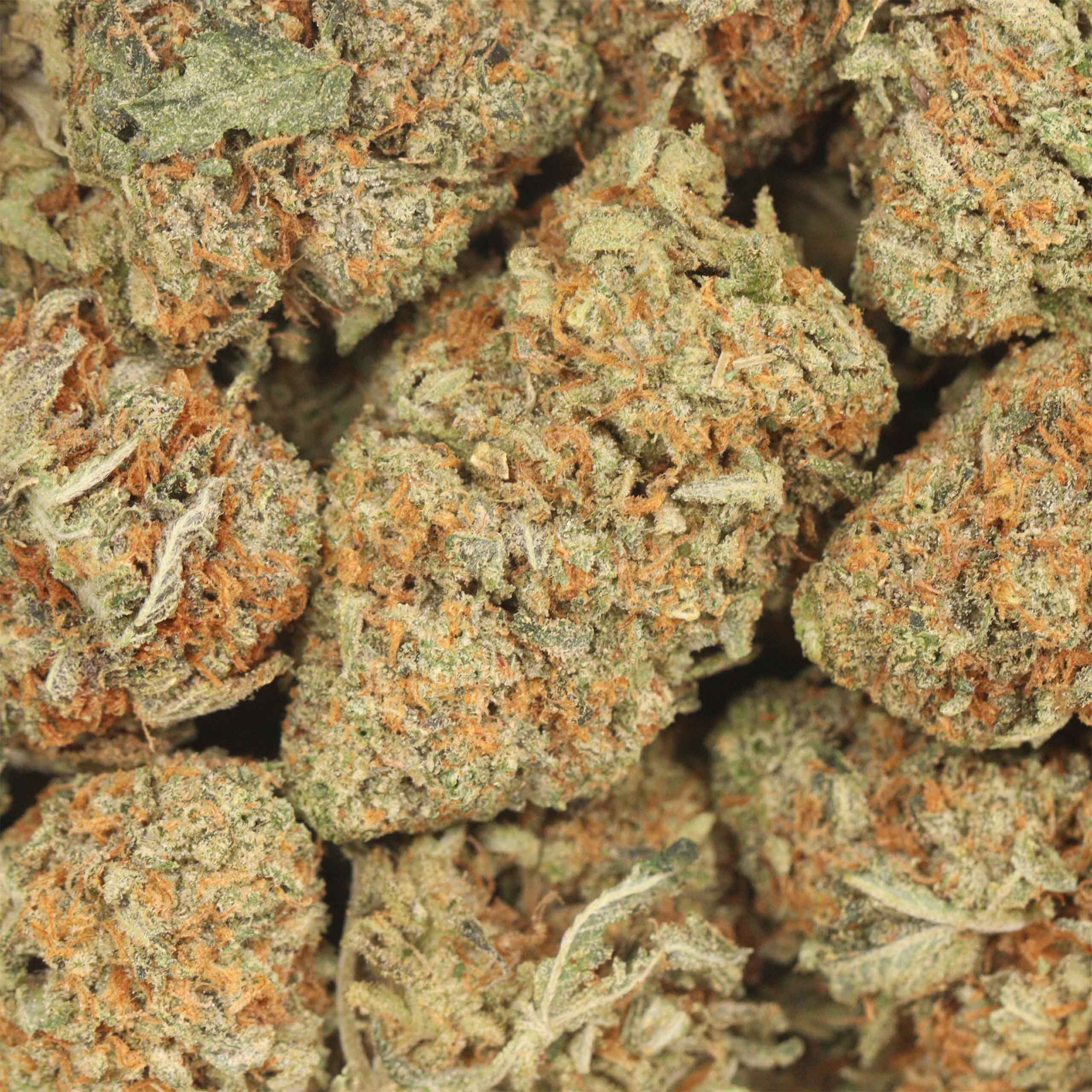 Yoda OG - Image 3