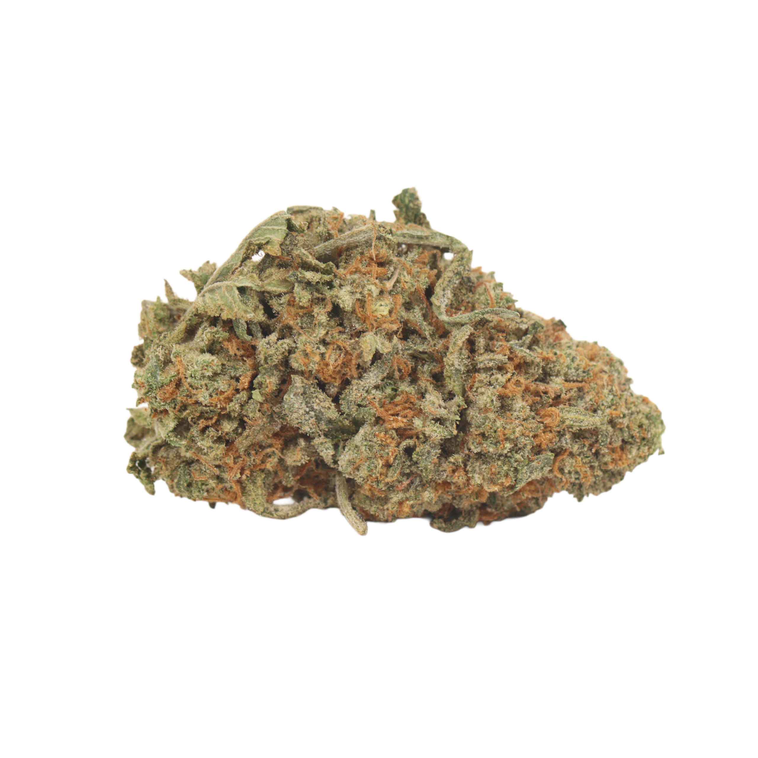 Yoda OG - Image 2