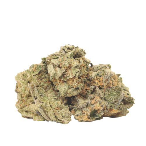 Afghani Kush strain cannabis