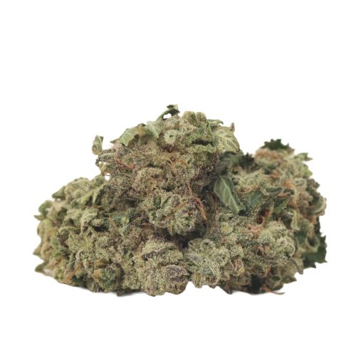 Maui Berry strain cannabis