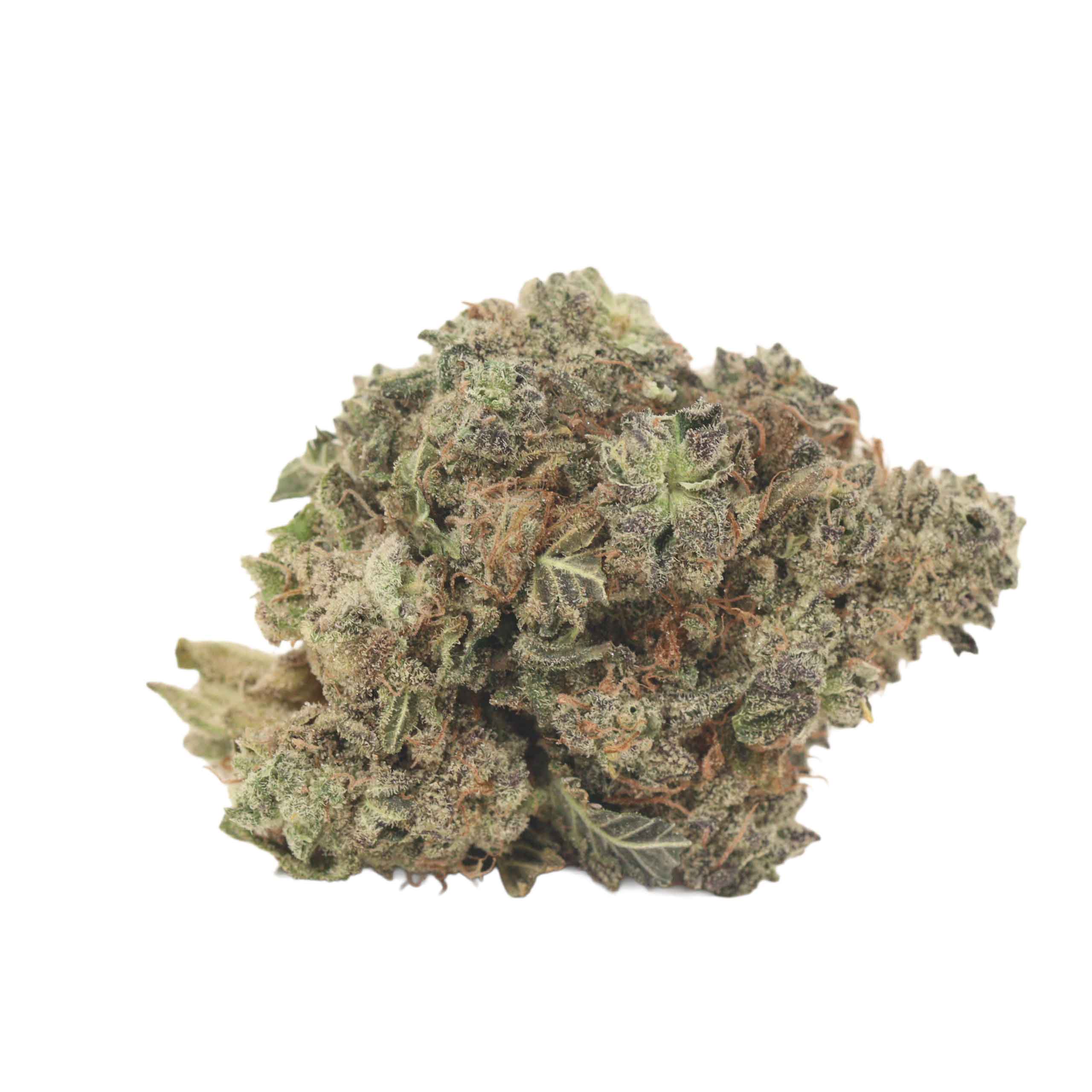 Maui Berry - Image 2