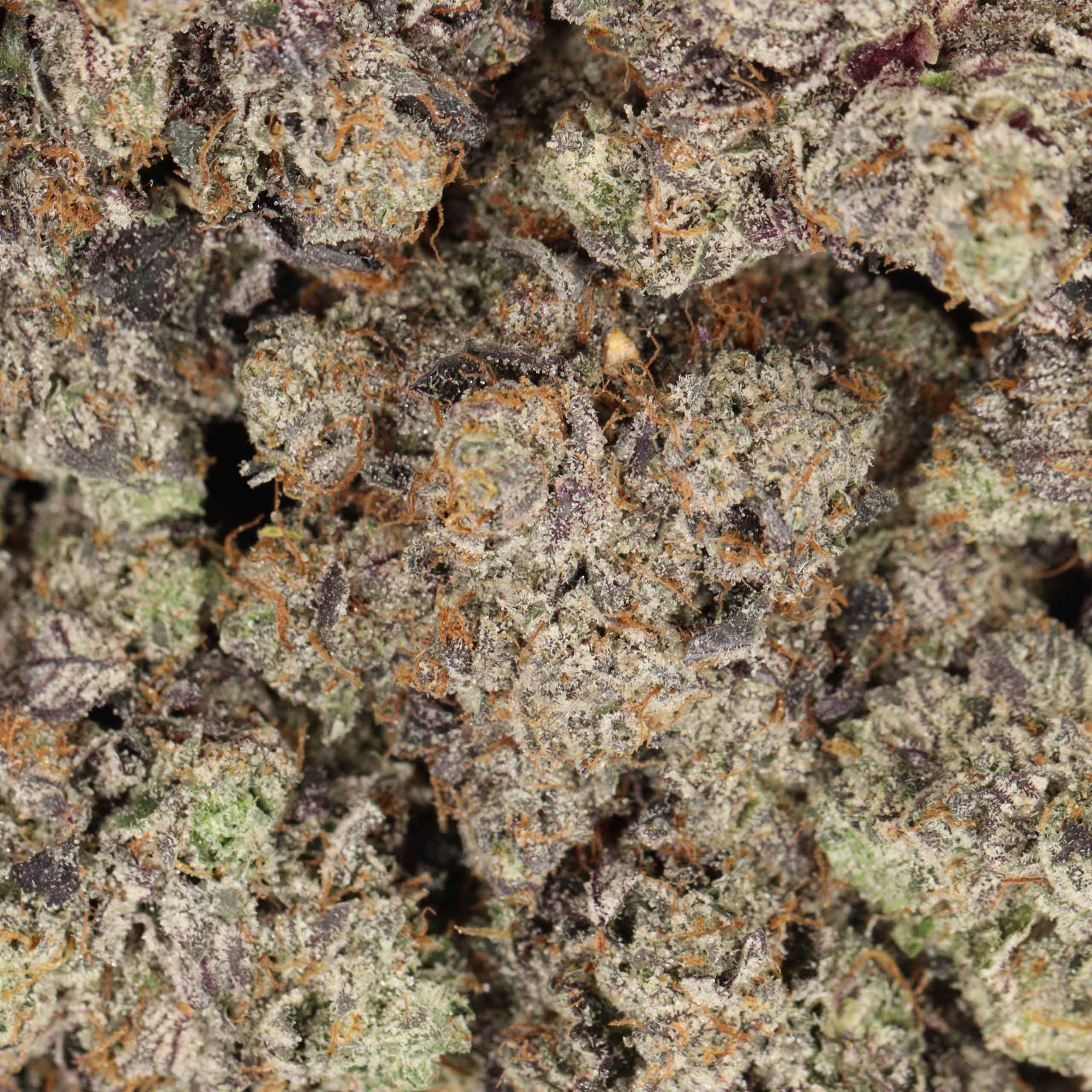 11 Week MK Ultra Craft cannabis wholesale